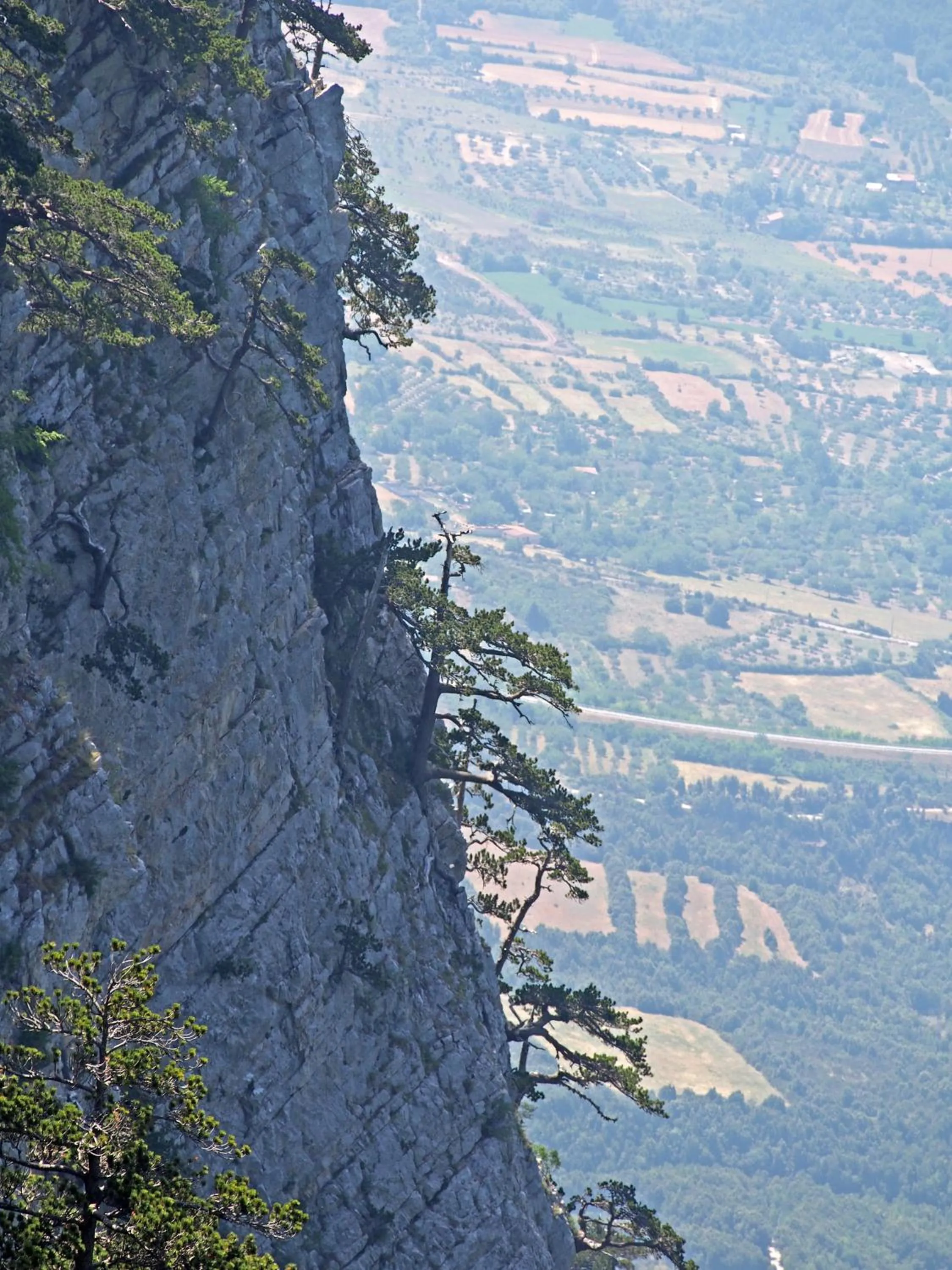 Nearby landmark in Il Belvedere