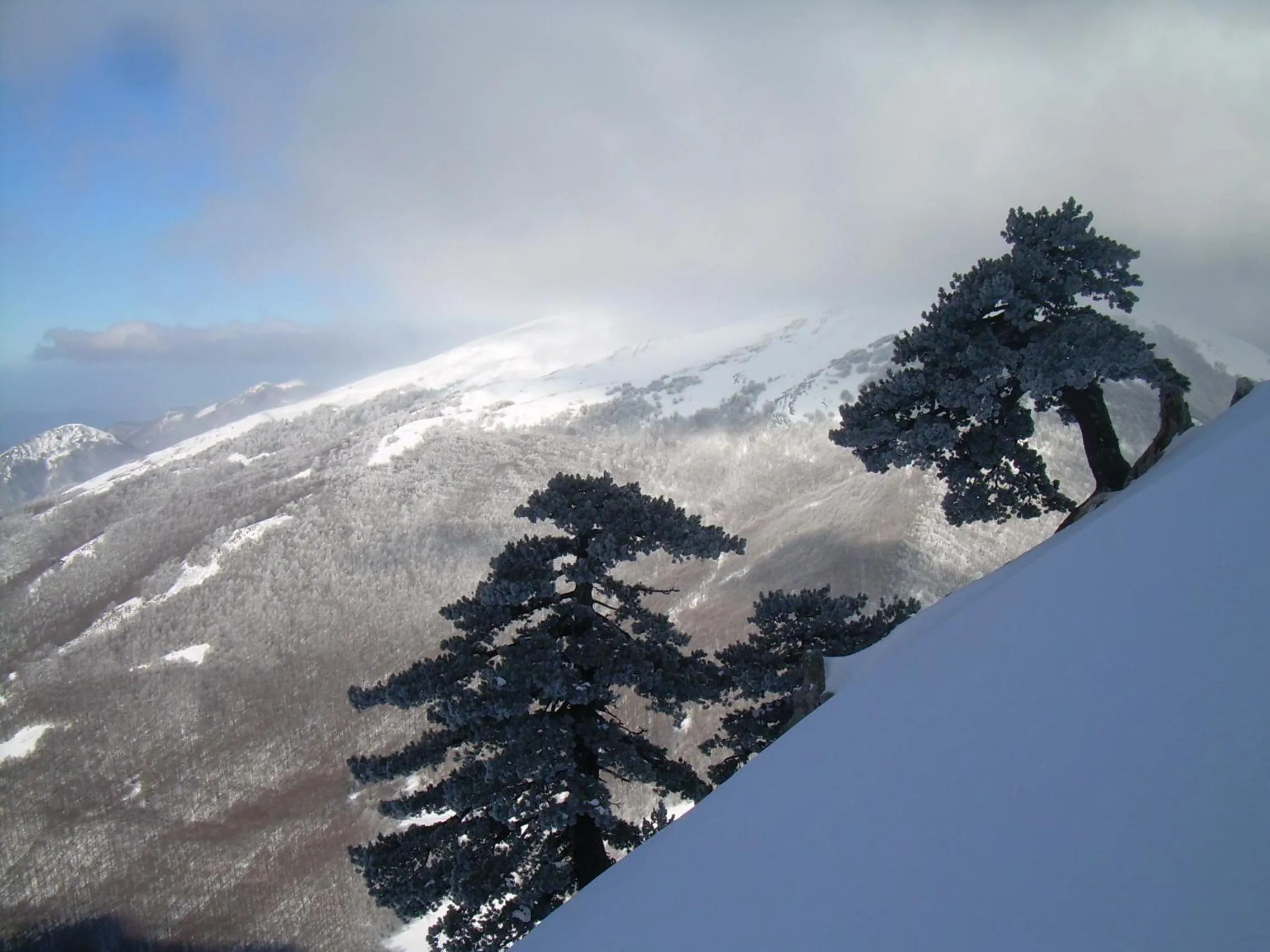 Nearby landmark in Il Belvedere