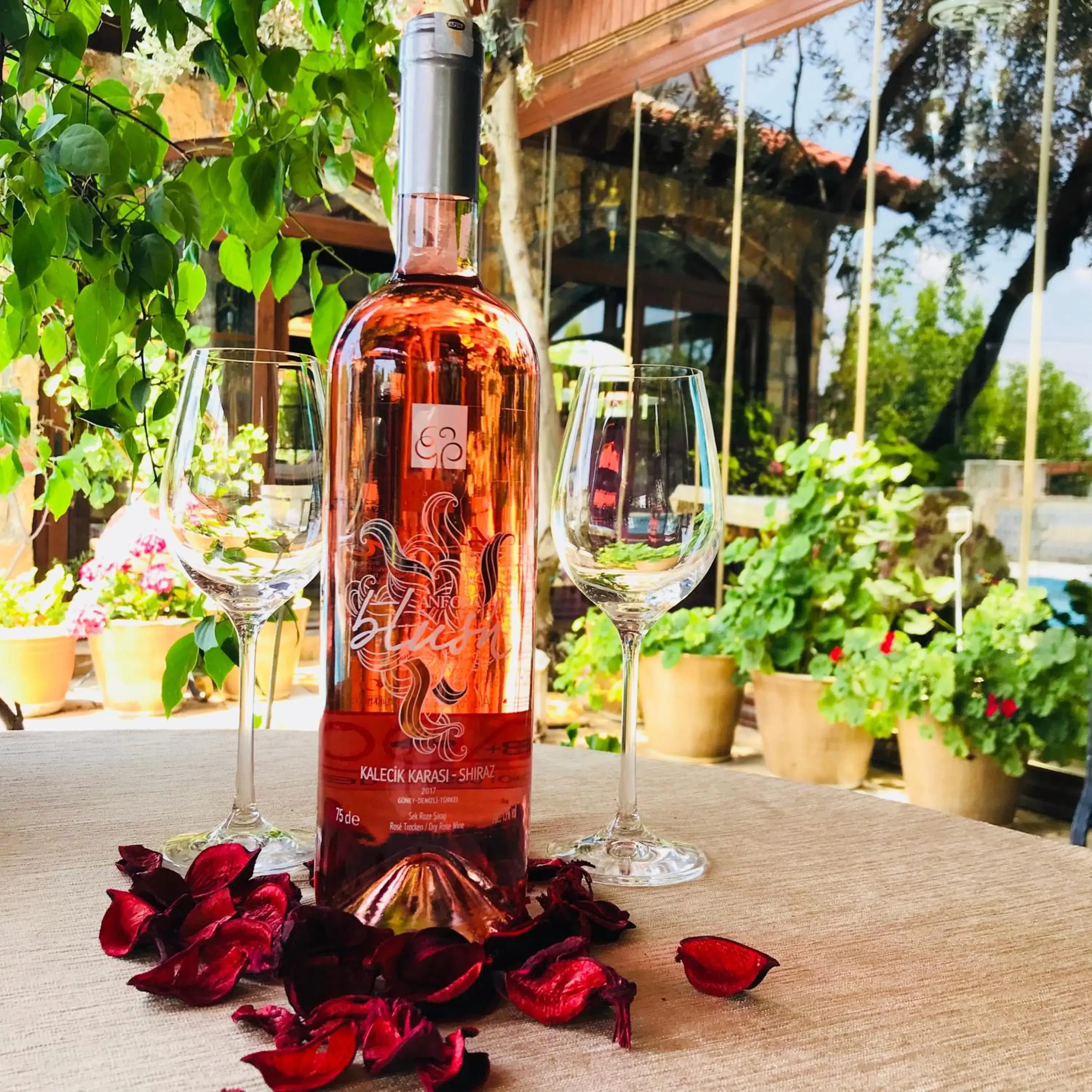 Food in Melrose Viewpoint Pansiyon Food in Melrose Viewpoint Pansiyon