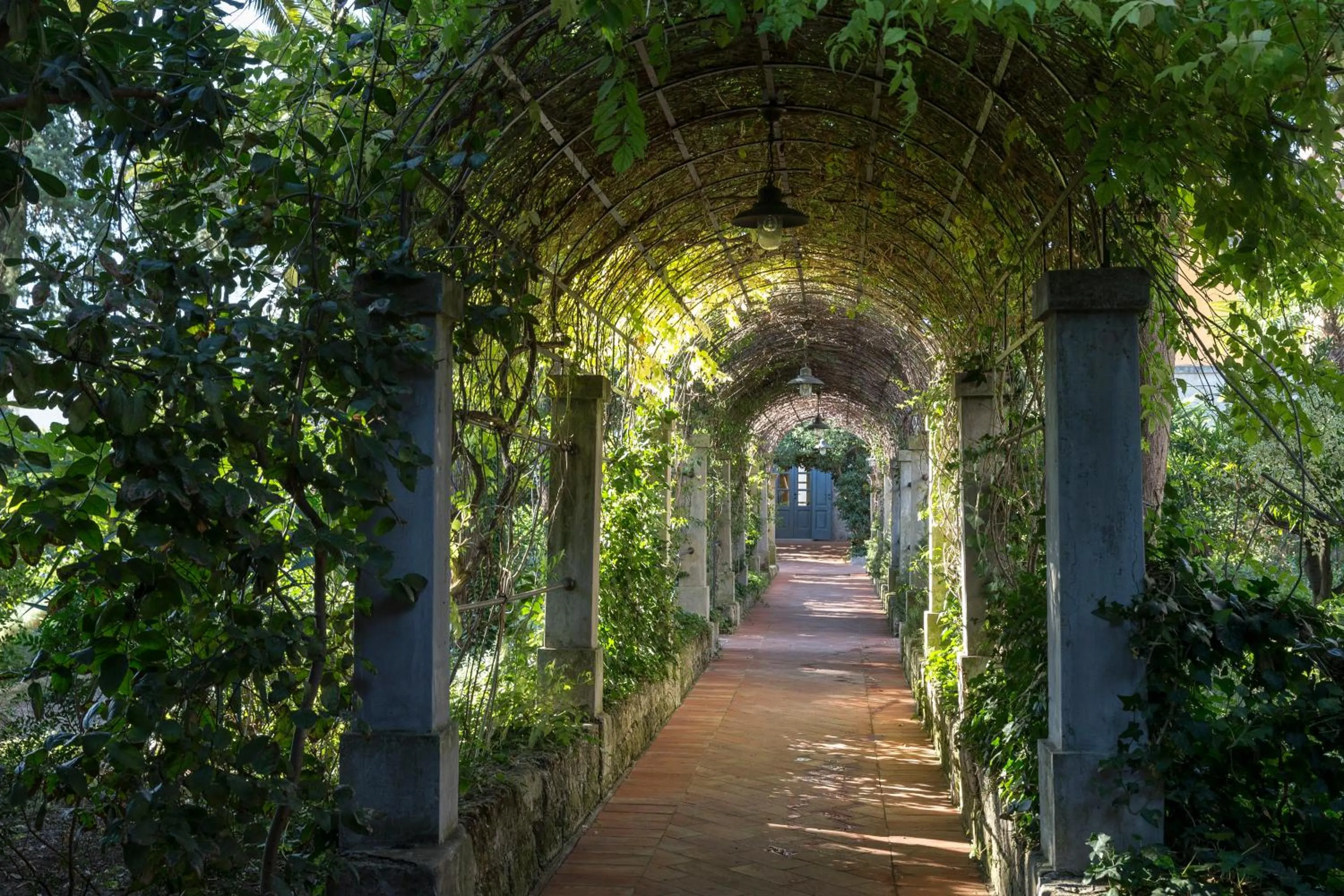 Garden in Palazzo Margherita