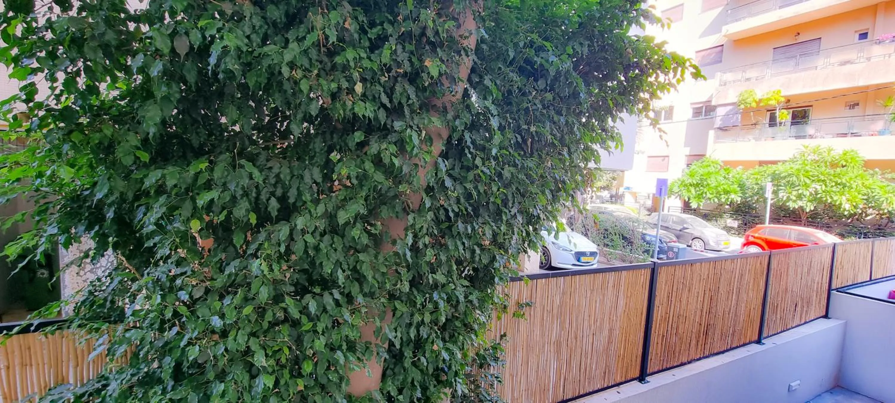 View (from property/room) in BnBIsrael apartments - Rupin Nacre