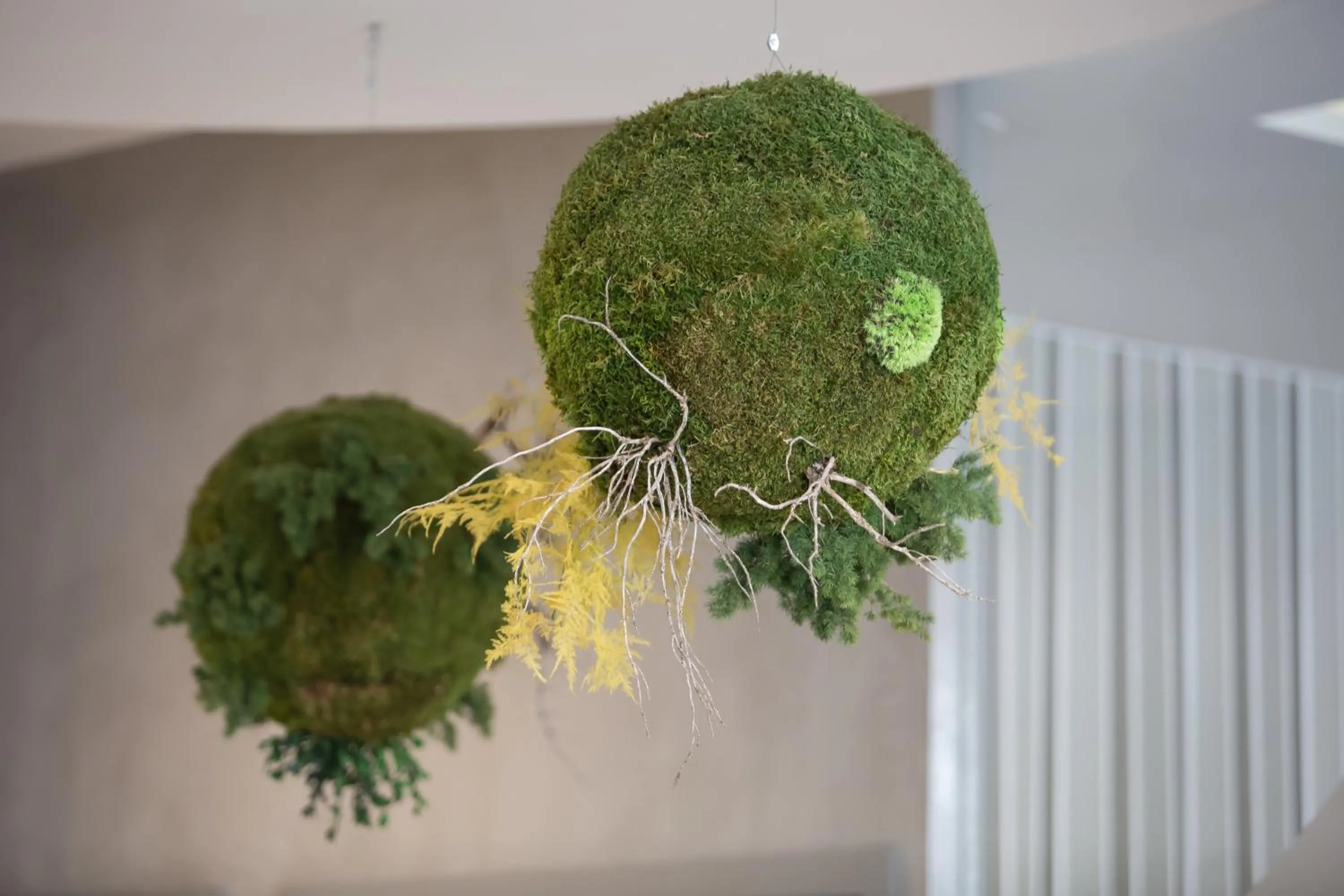 Lobby or reception in Hotel Monte Puertatierra