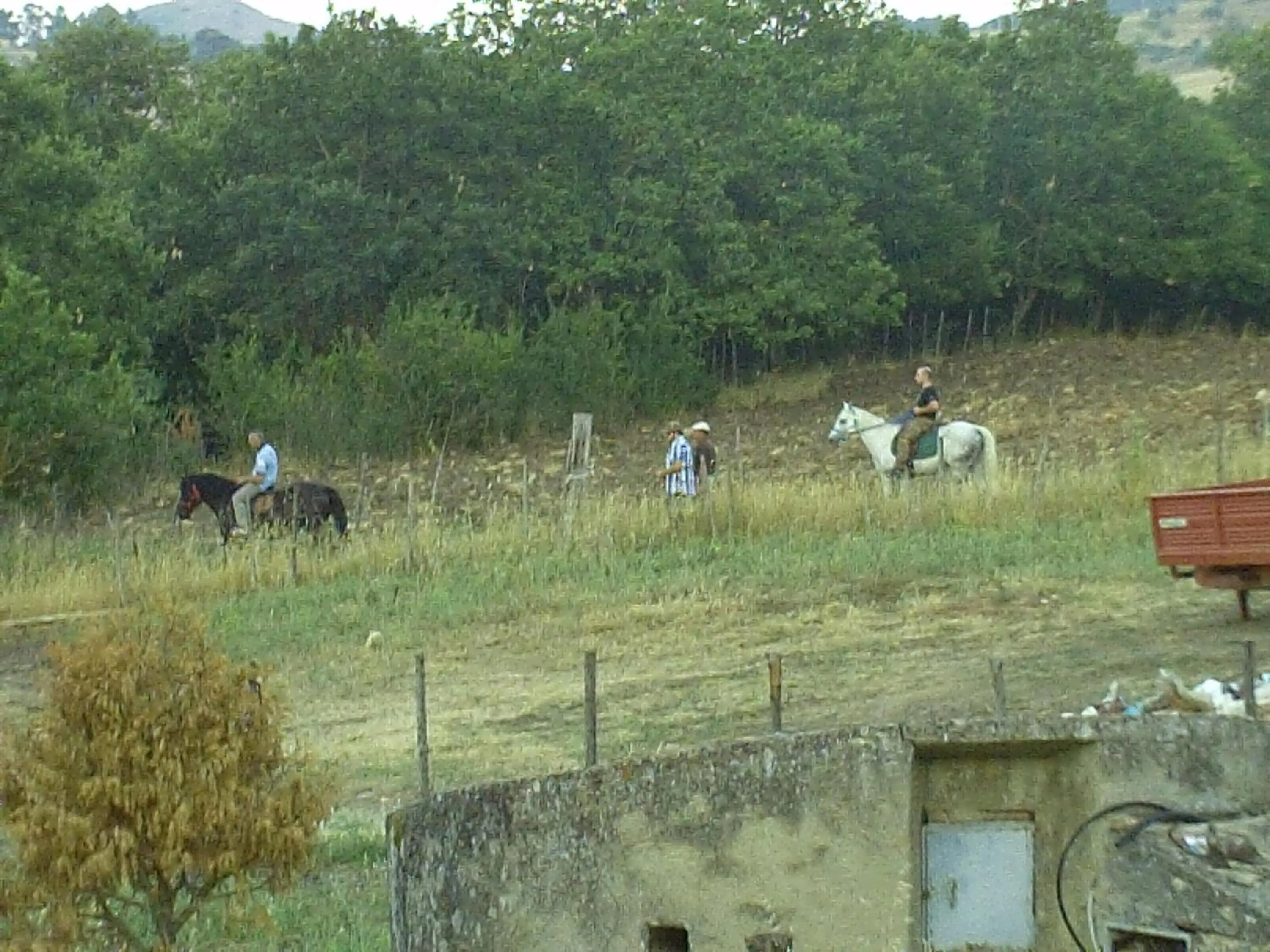group of guests in Agriturismo San Pietro