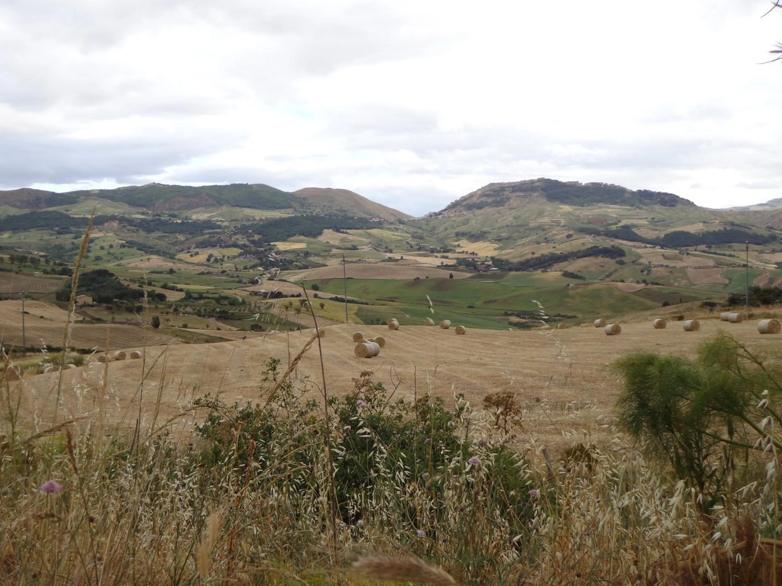 Agriturismo San Pietro