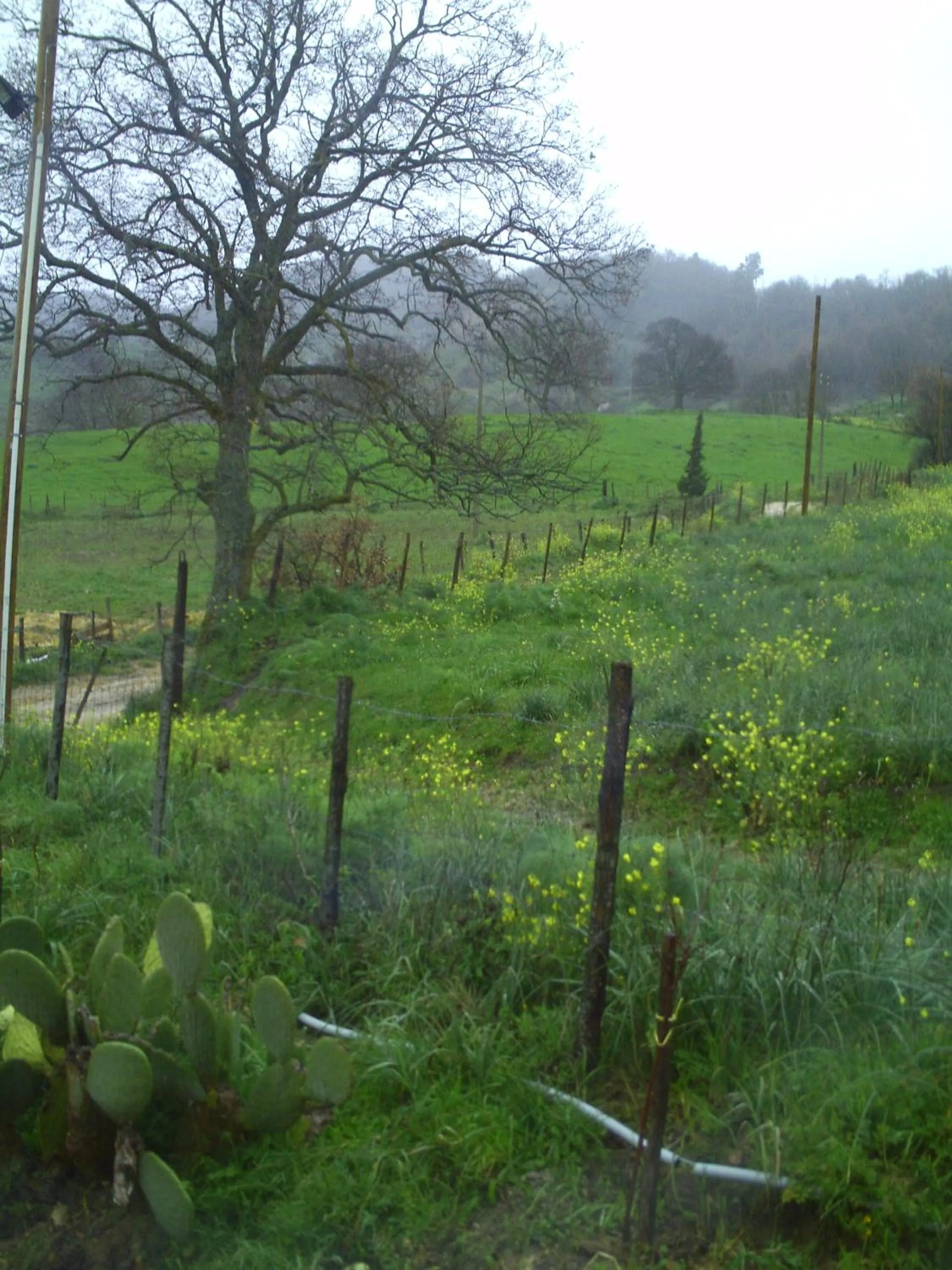 Natural landscape in Agriturismo San Pietro