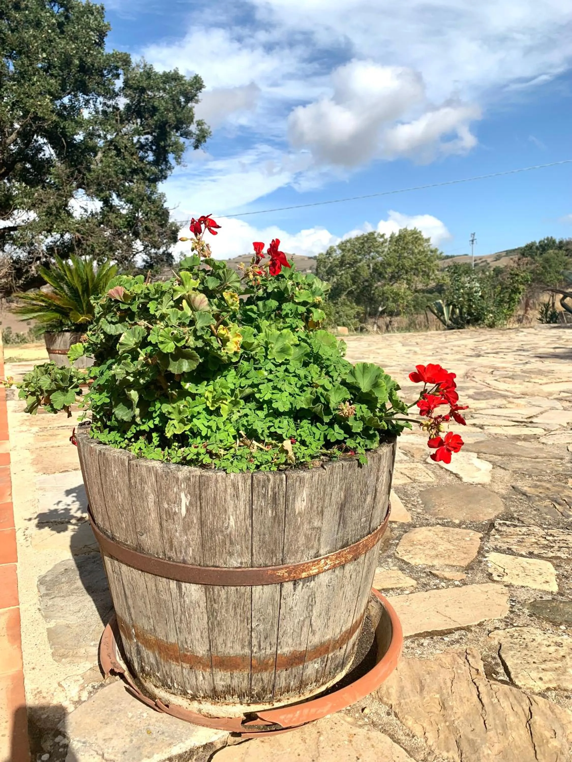 Garden view in Agriturismo San Pietro