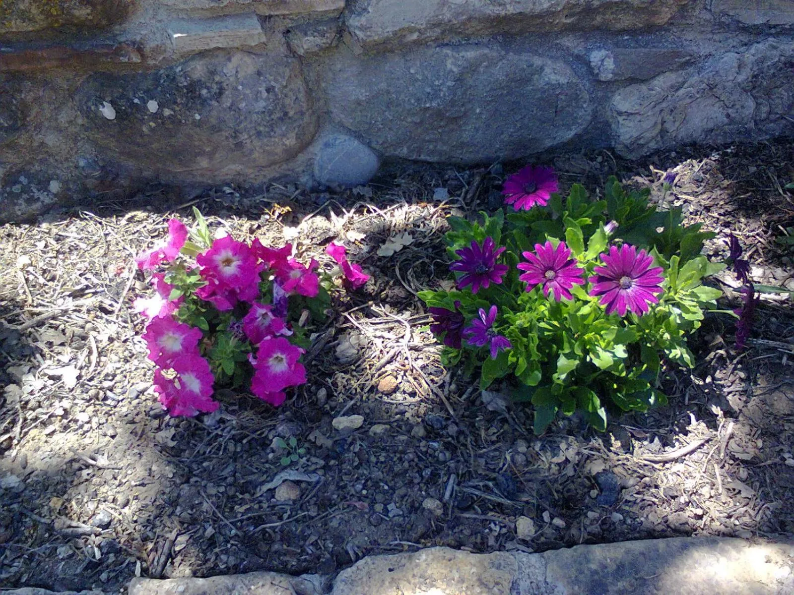 Spring in Agriturismo San Pietro