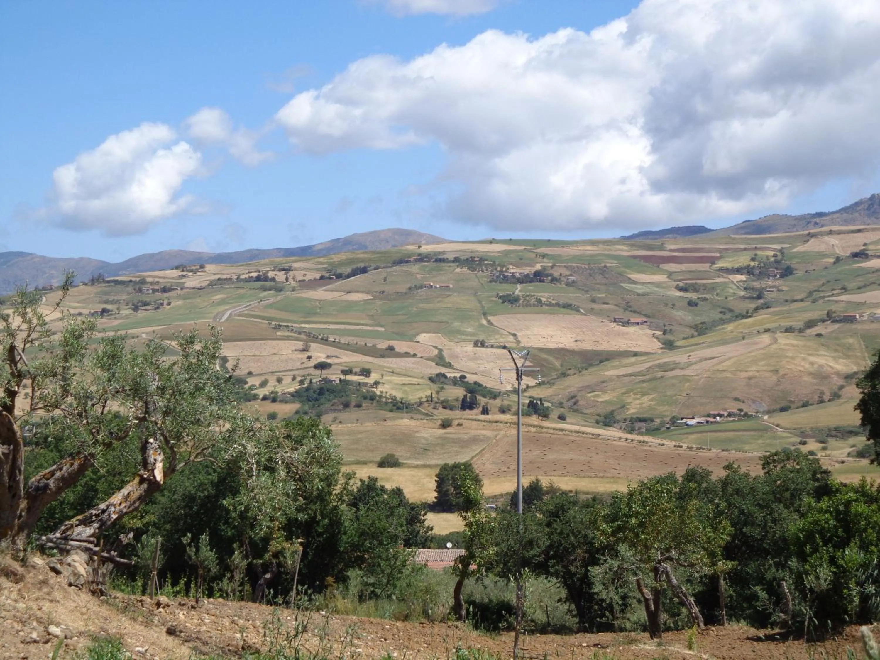 Activities in Agriturismo San Pietro