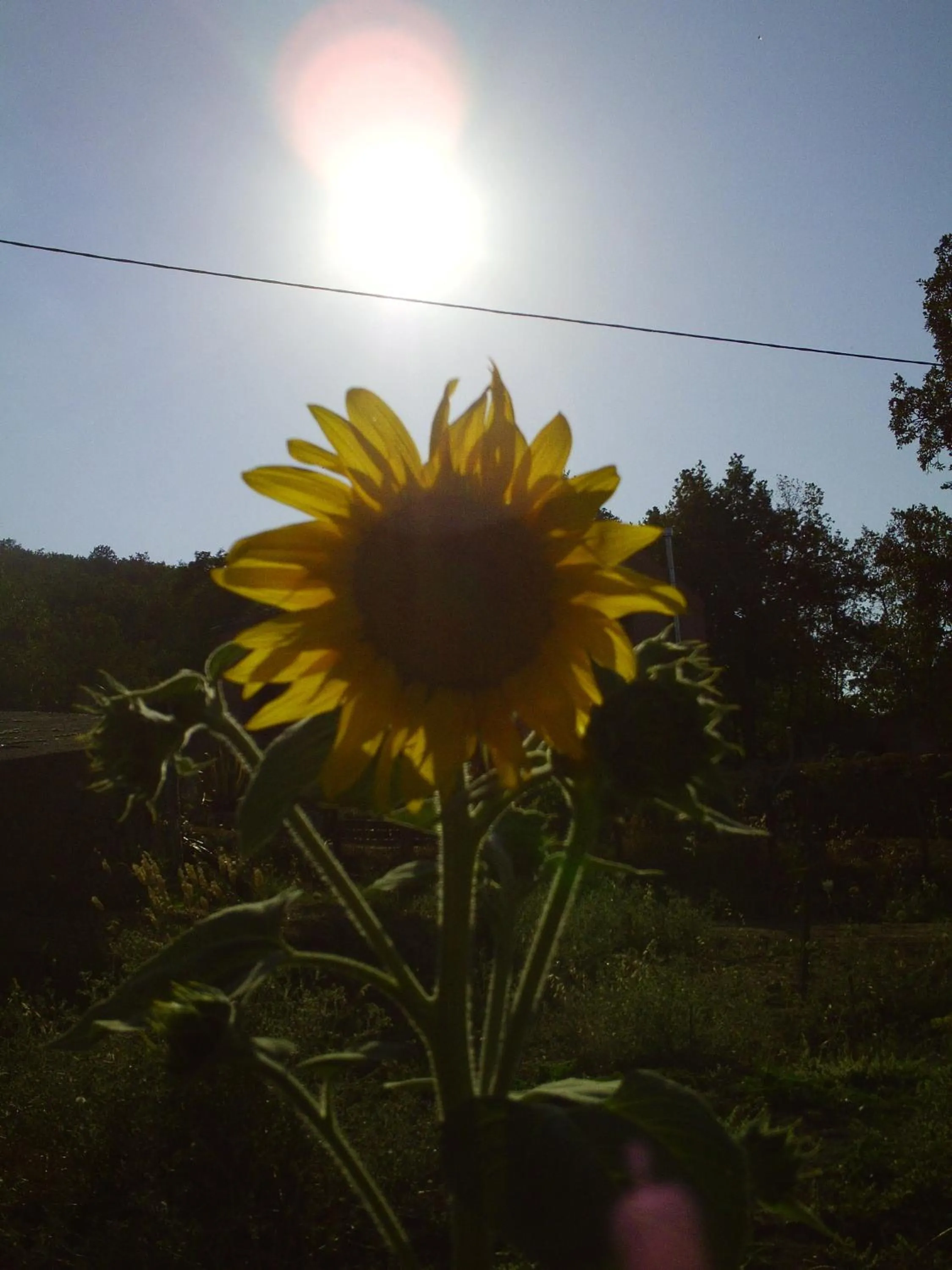 Agriturismo San Pietro