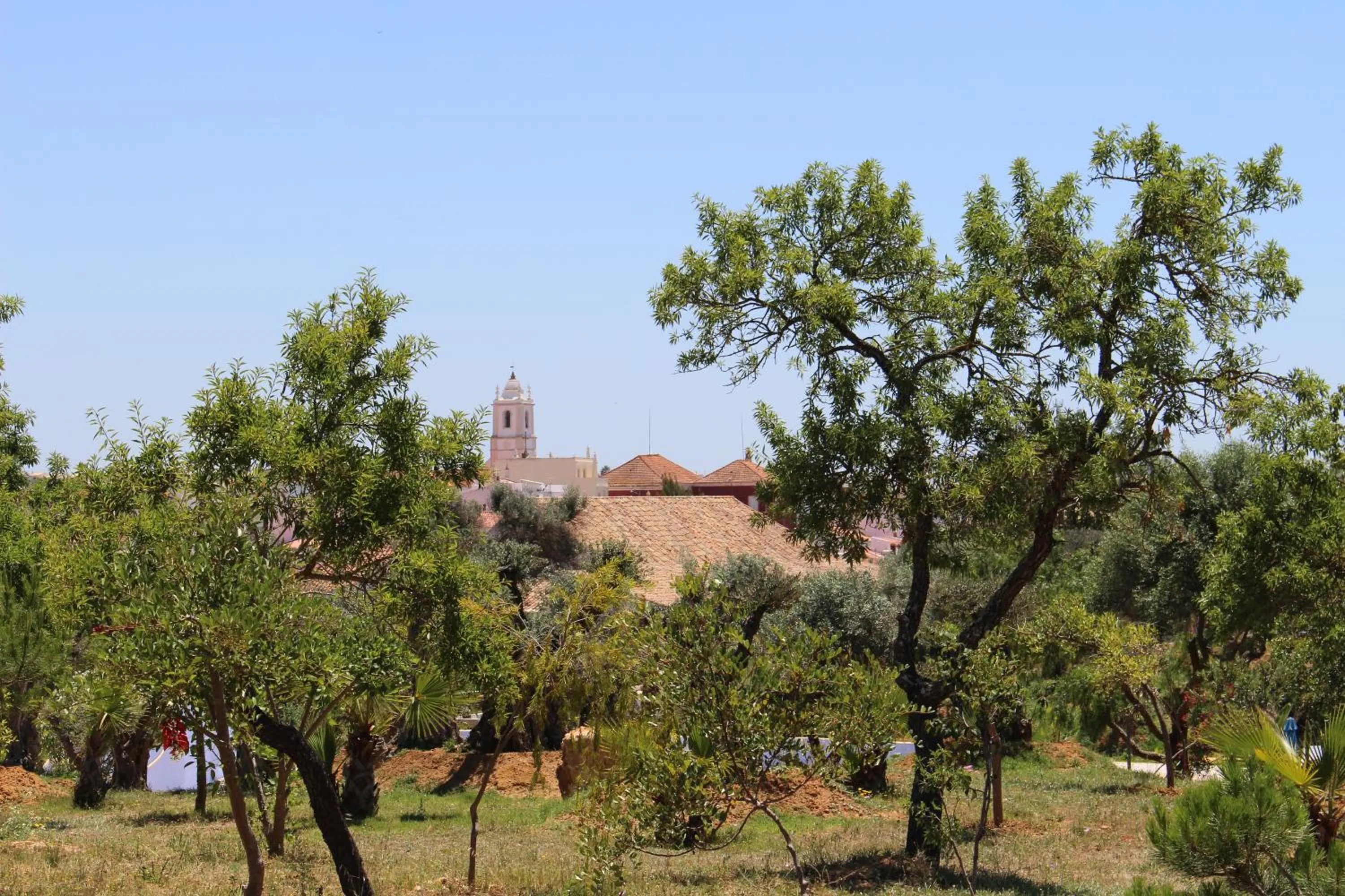 Garden in Hotel de Charme Capela das Artes