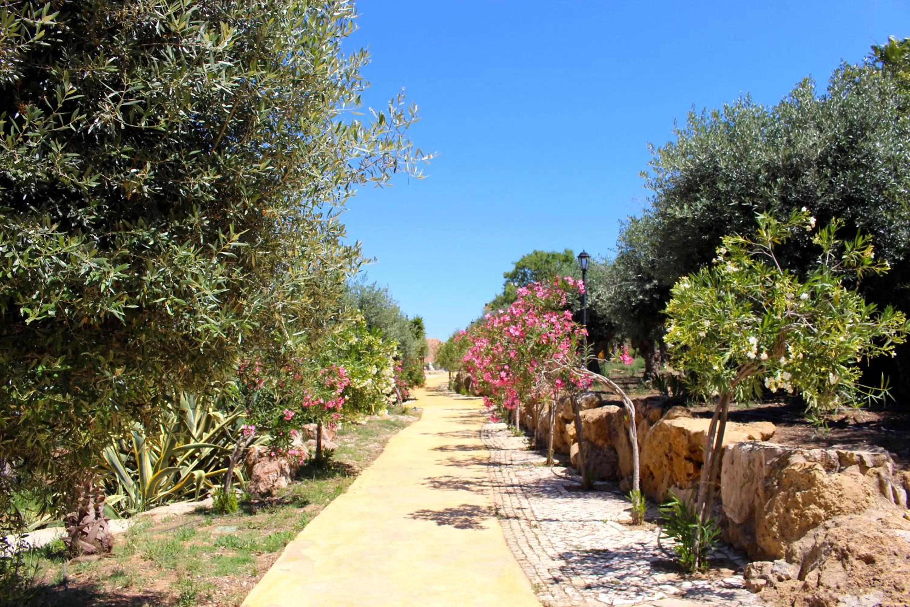 Garden in Hotel de Charme Capela das Artes