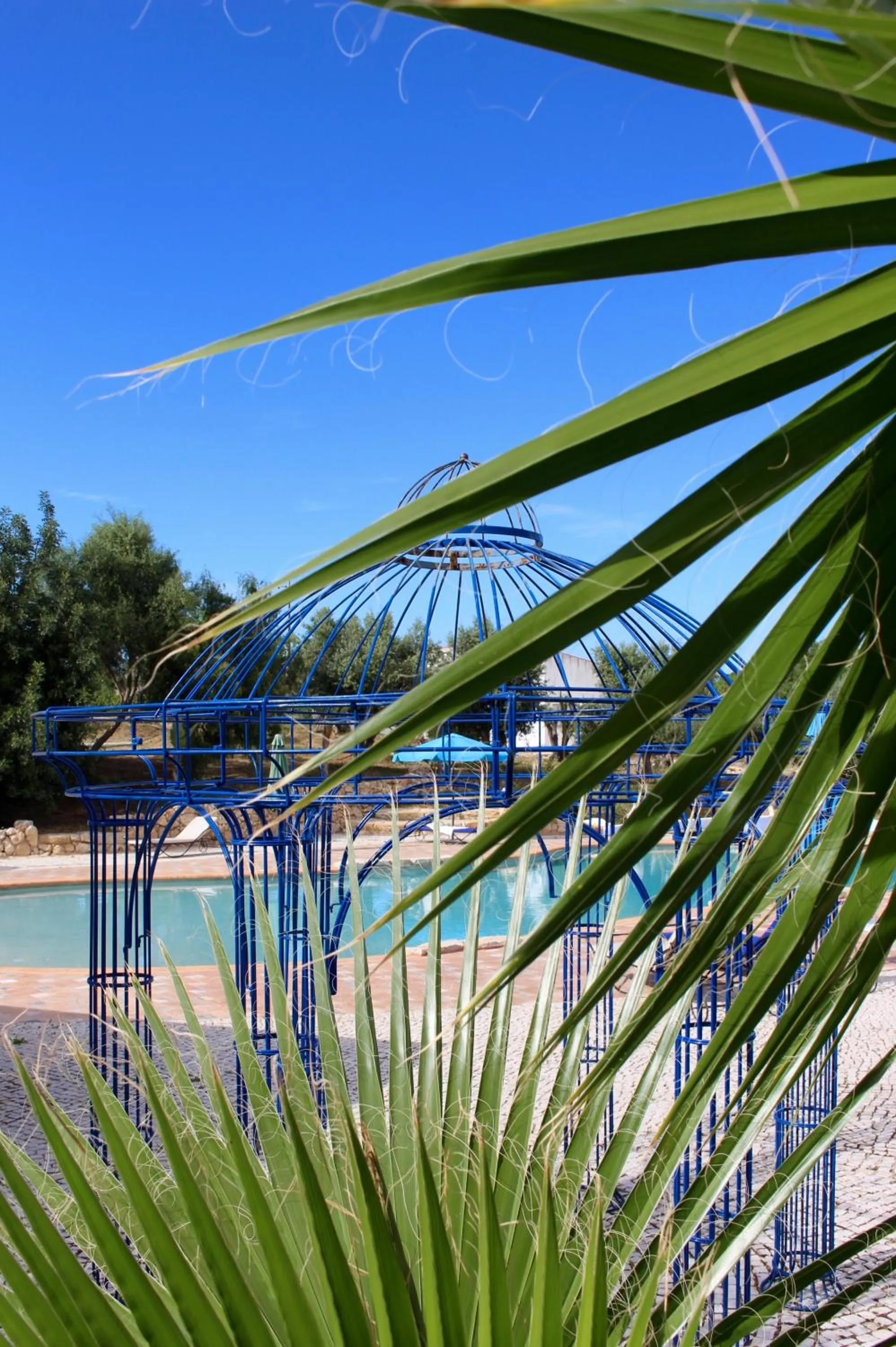 Garden in Hotel de Charme Capela das Artes