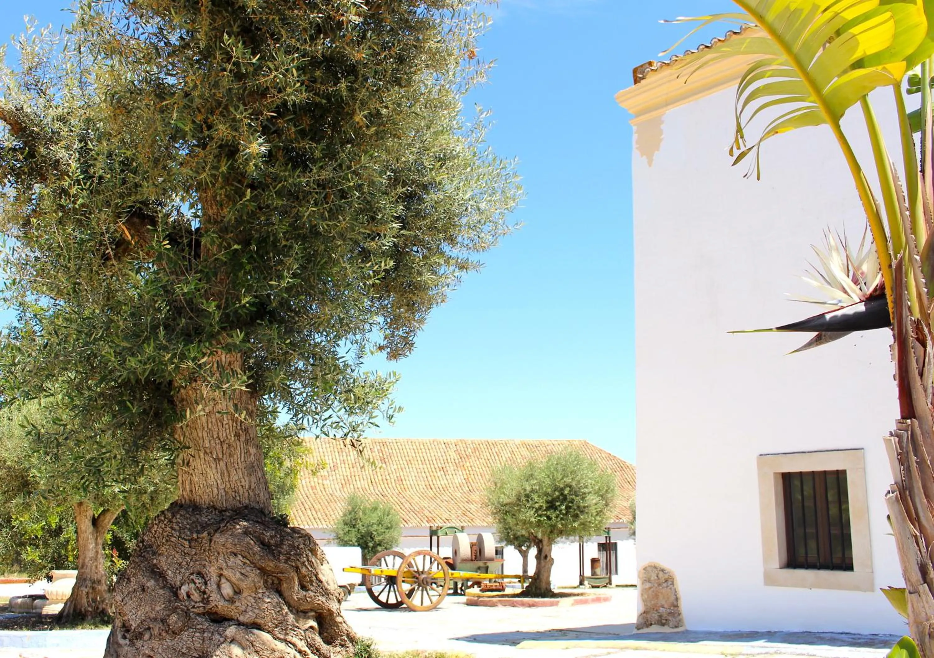 Property building in Hotel de Charme Capela das Artes