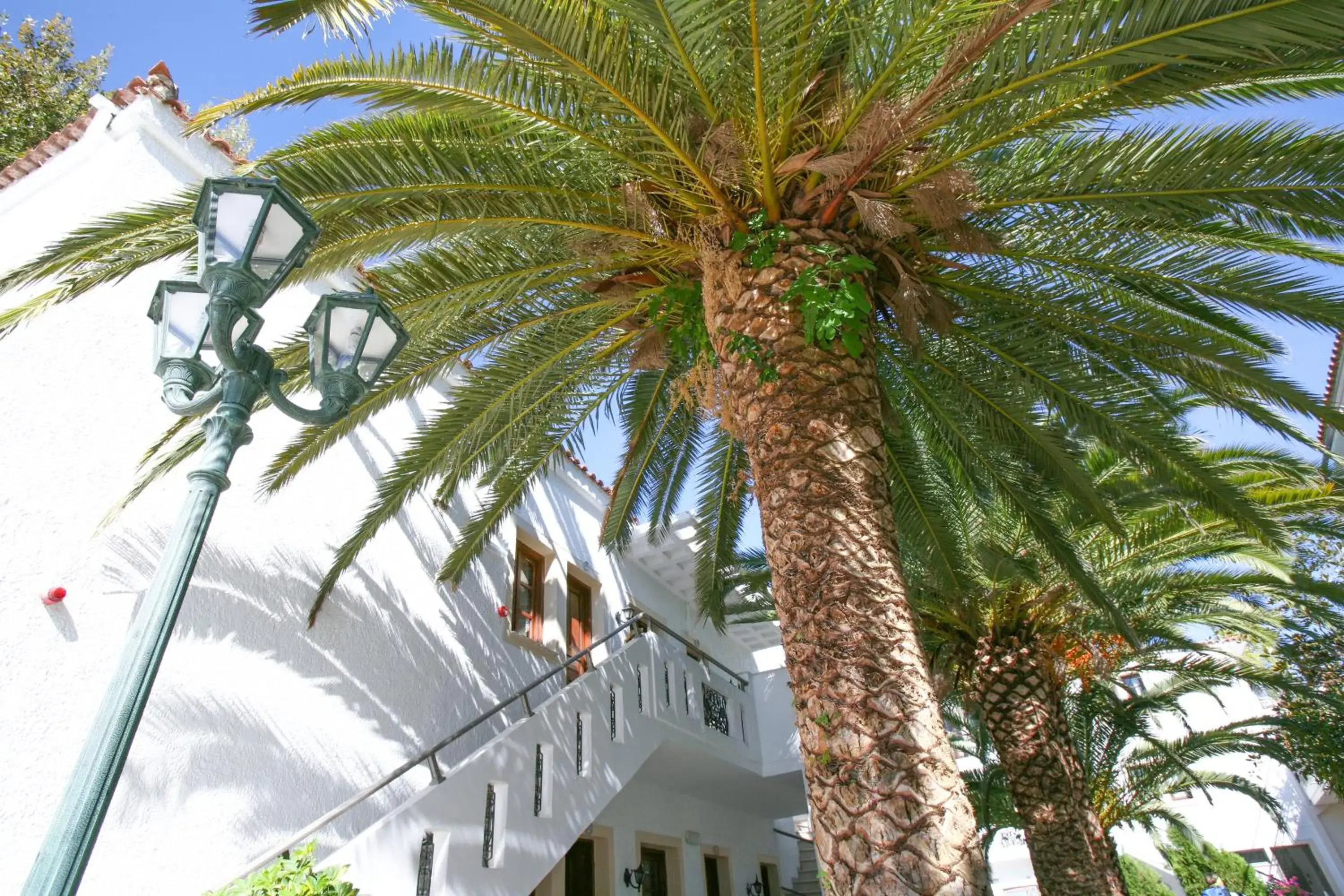 Property building in Flamingos Hotel Apartments Property building in Flamingos Hotel Apartments