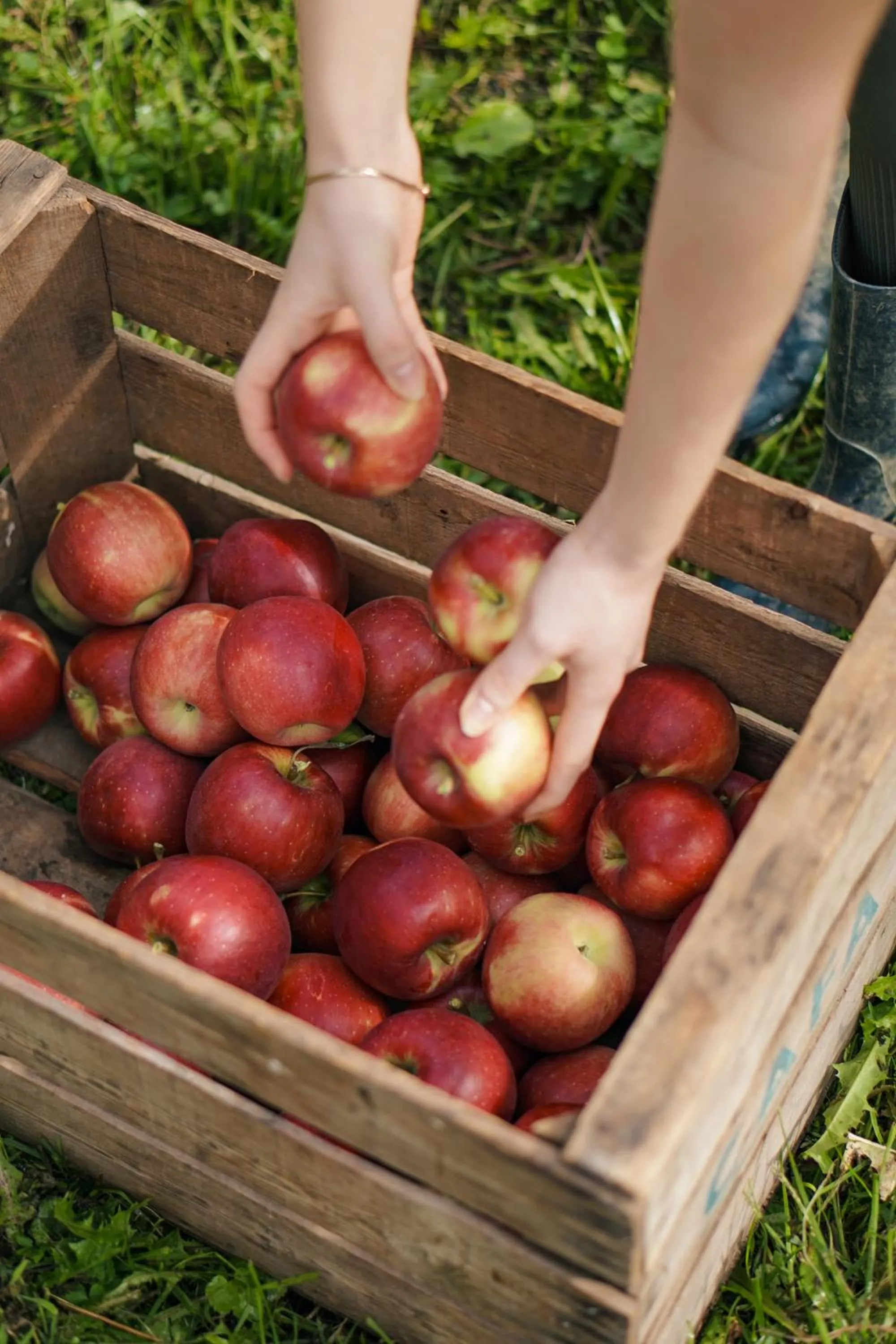 Property building in Oberwirtshof