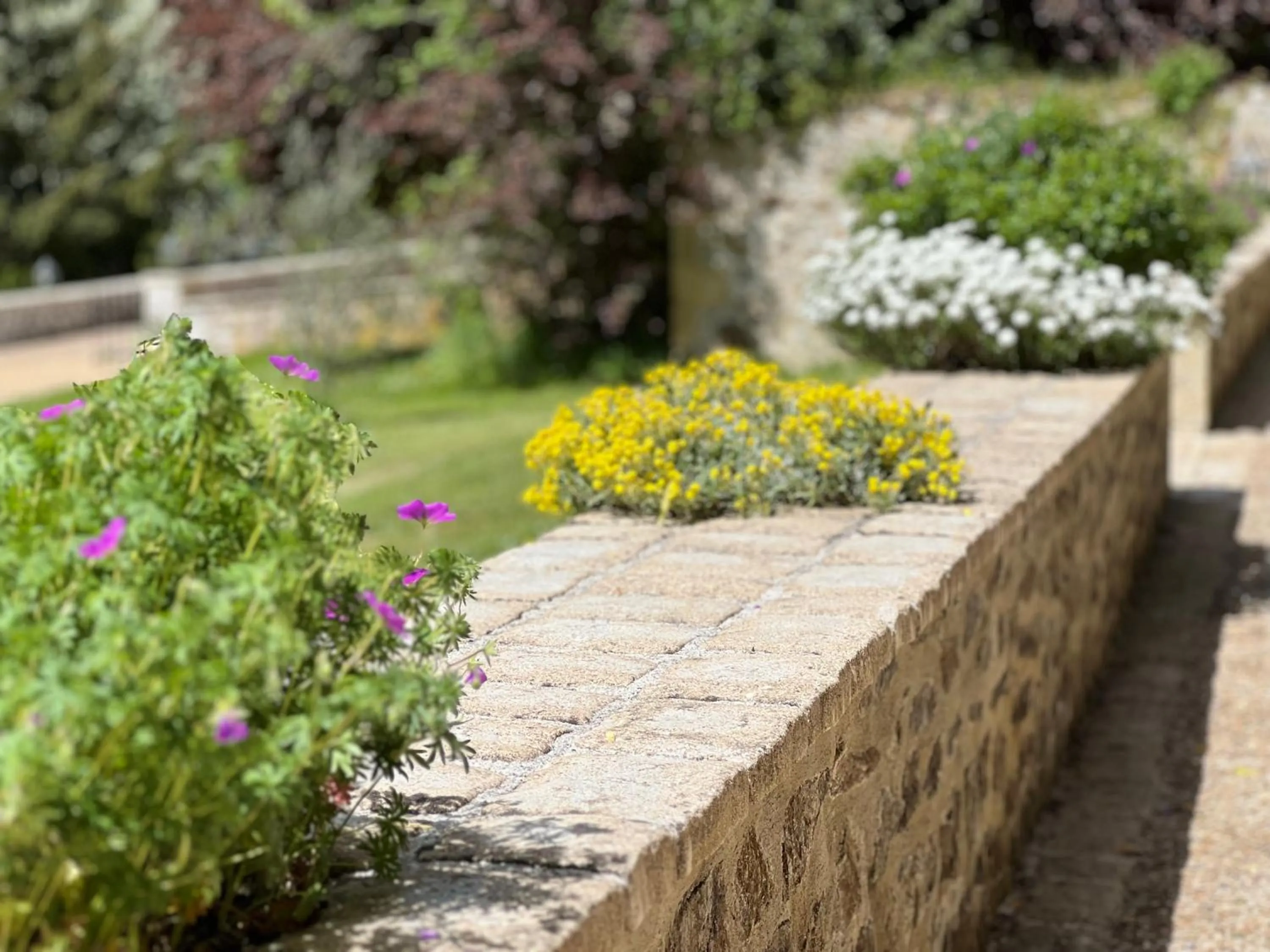 Spring in Domaine de Brise Bois - Chambres & Gîtes