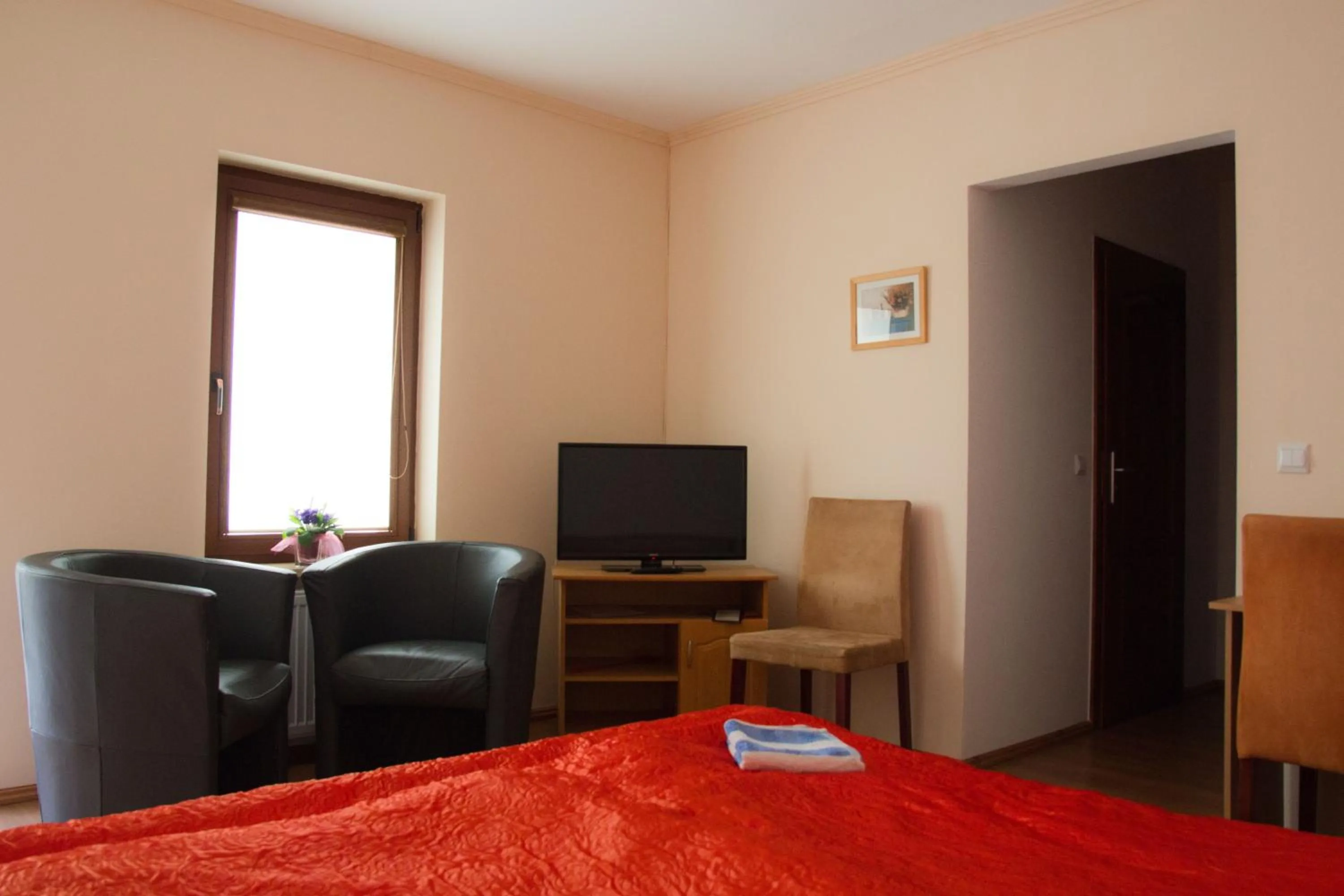 TV and multimedia in Dom Gościnny Pod Górą