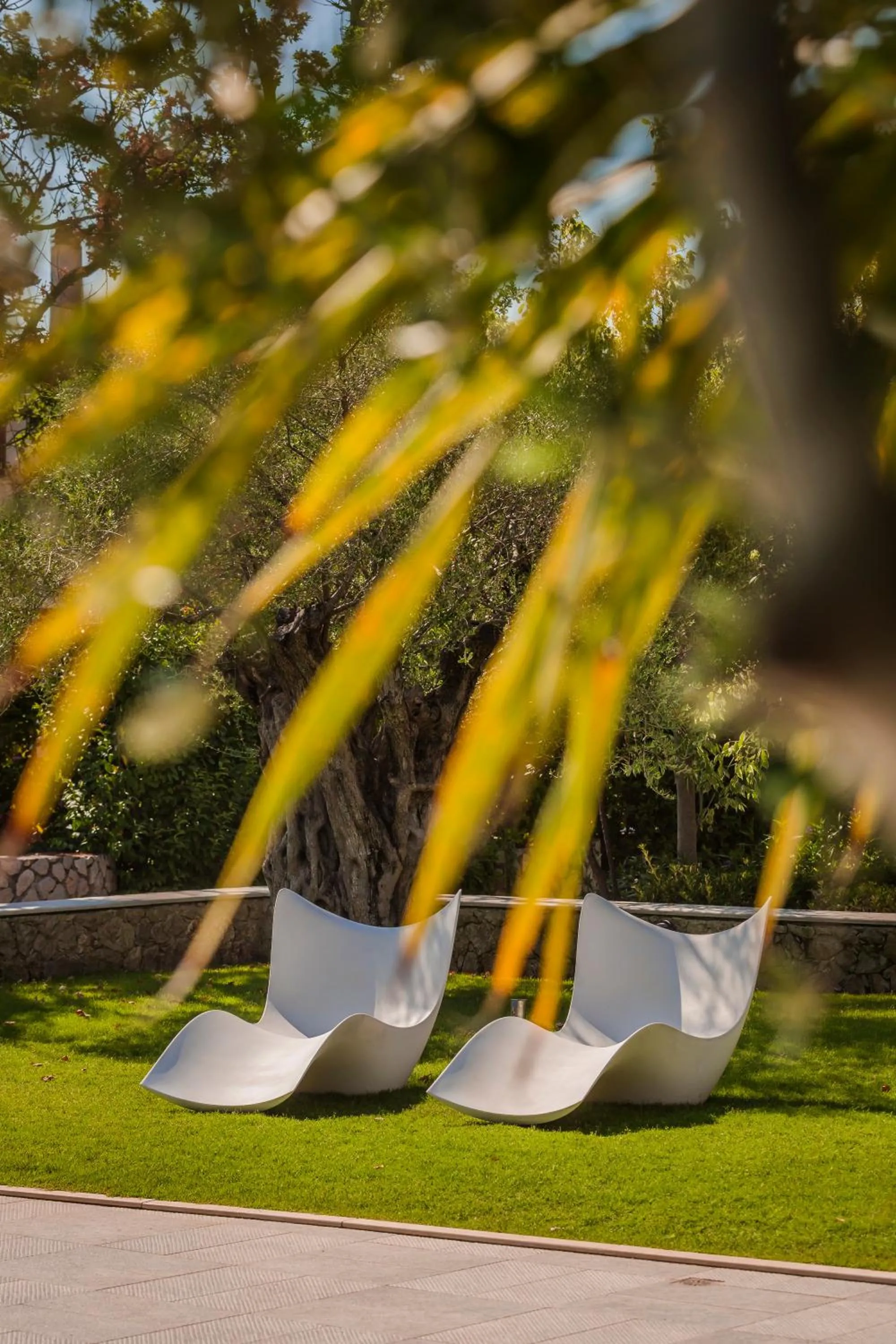 Daluz Boutique Hotel