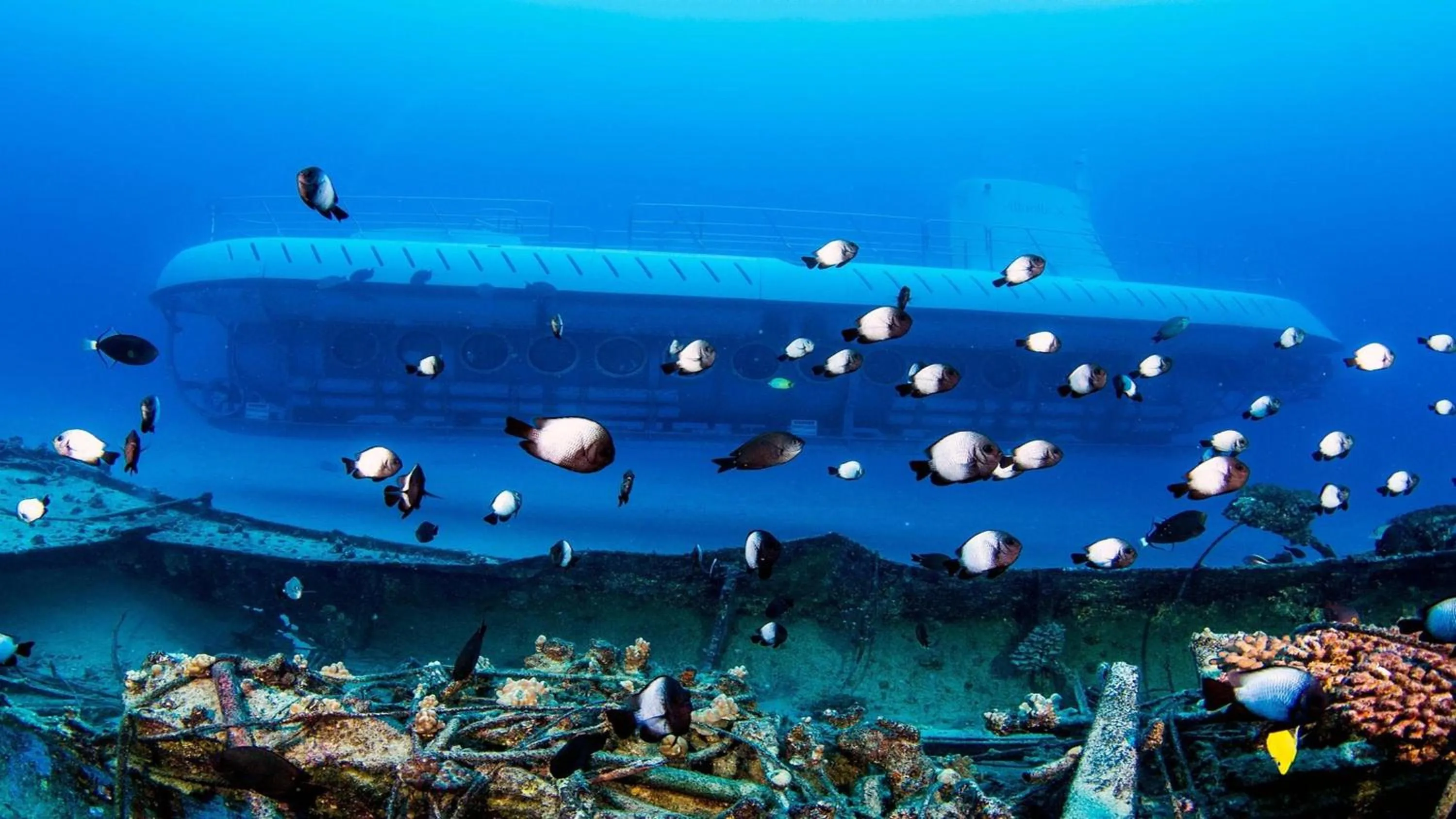 Nearby landmark in Holiday Inn Express & Suites Kailua-Kona by IHG