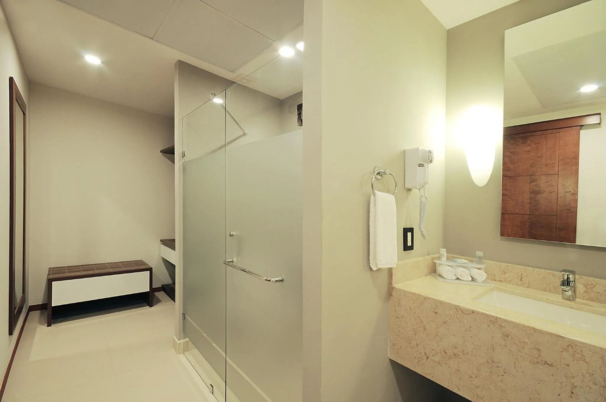 Bathroom in Holiday Inn Express Puerto Vallarta by IHG