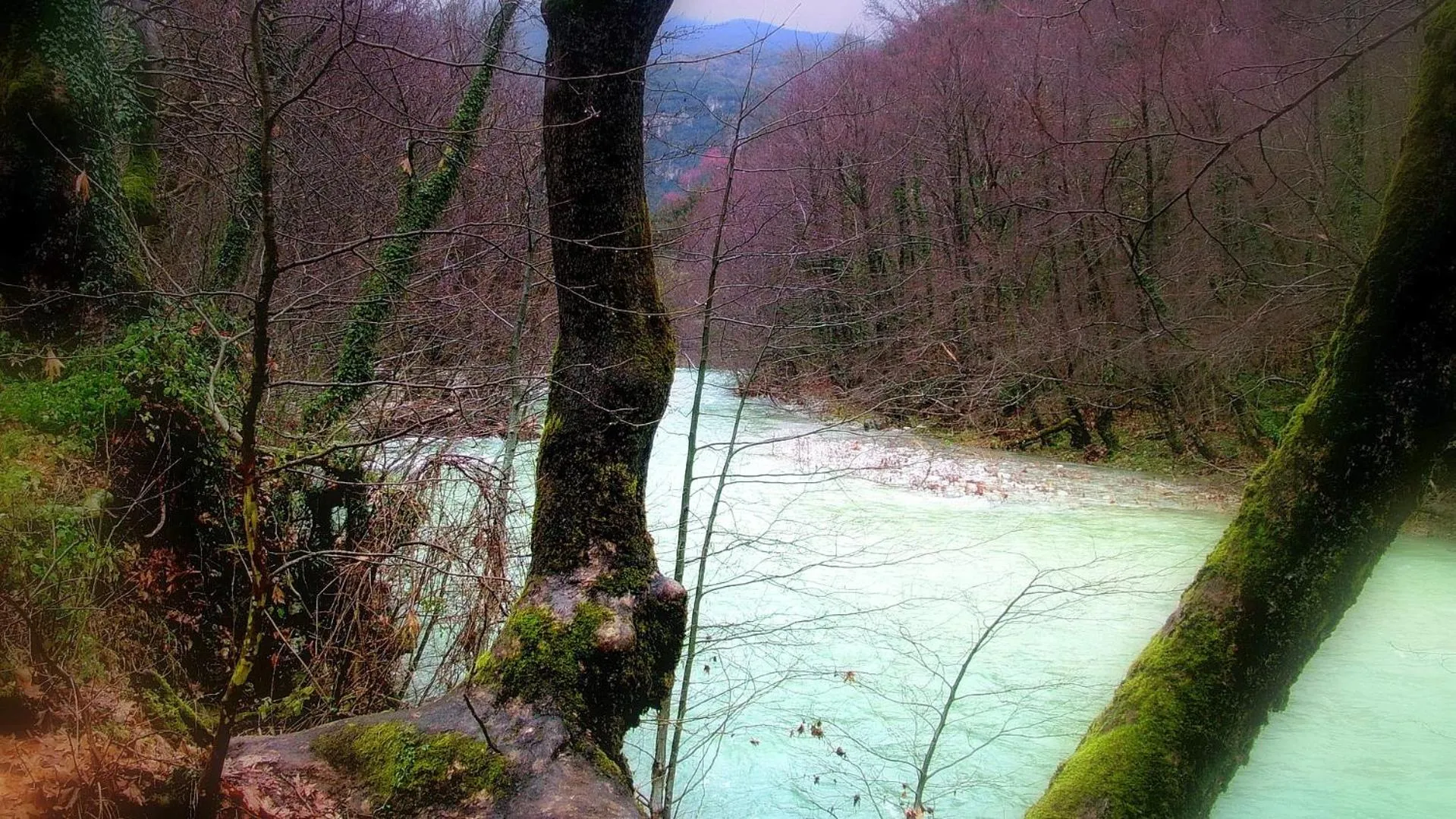 Natural landscape in Dilofo Hotel Luxury Suites