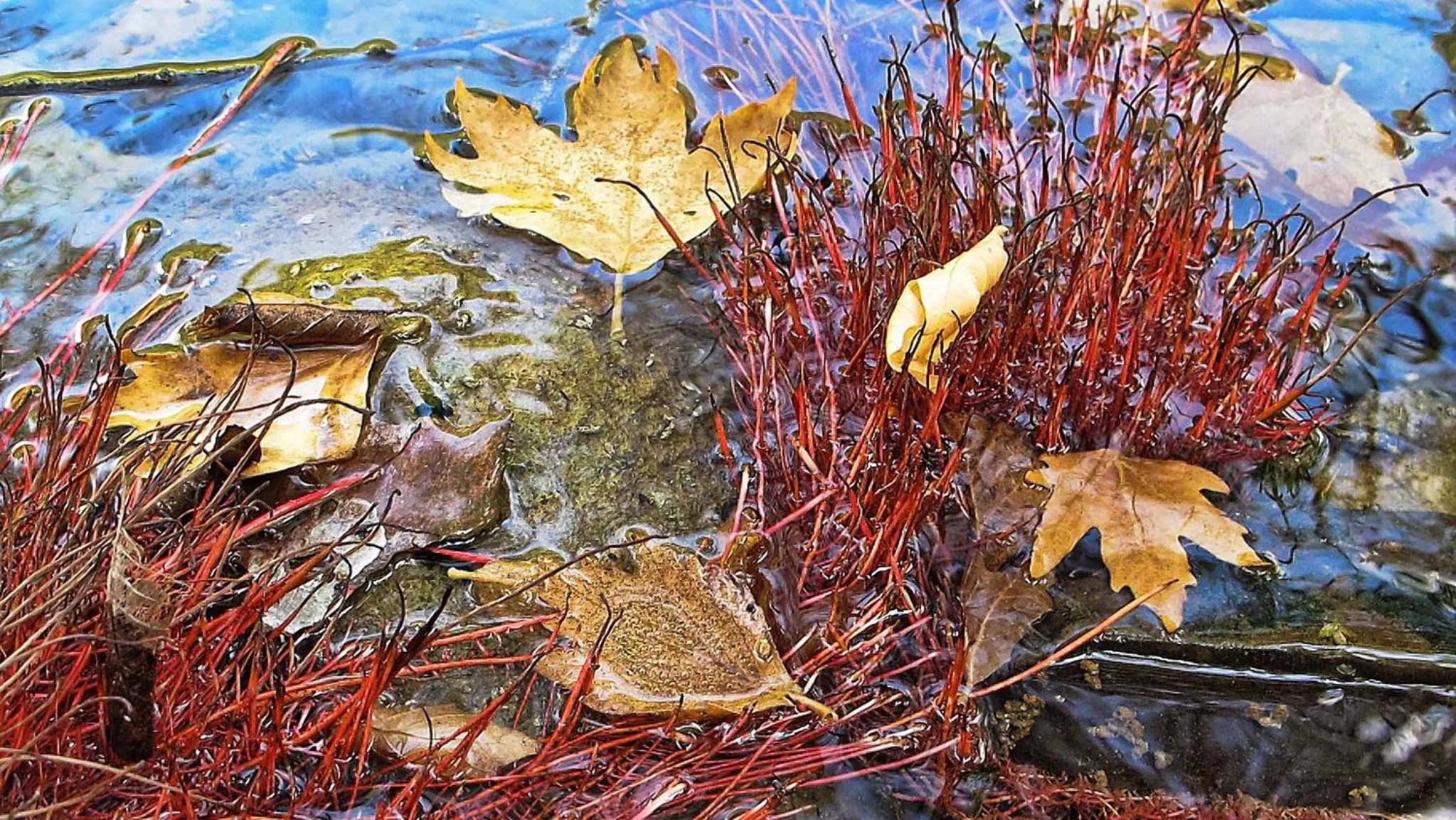 Natural landscape in Dilofo Hotel Luxury Suites