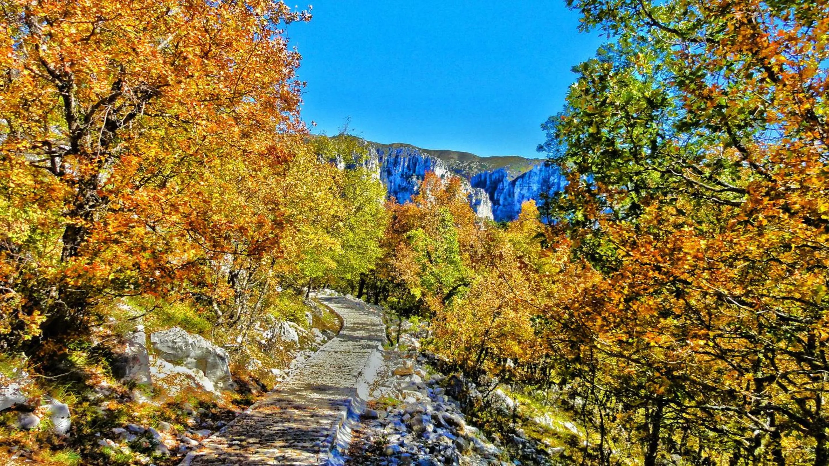 Natural landscape in Dilofo Hotel Luxury Suites