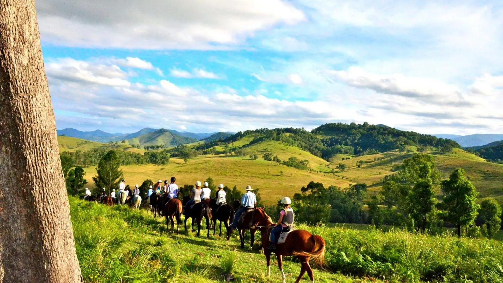 Natural landscape in Dilofo Hotel Luxury Suites