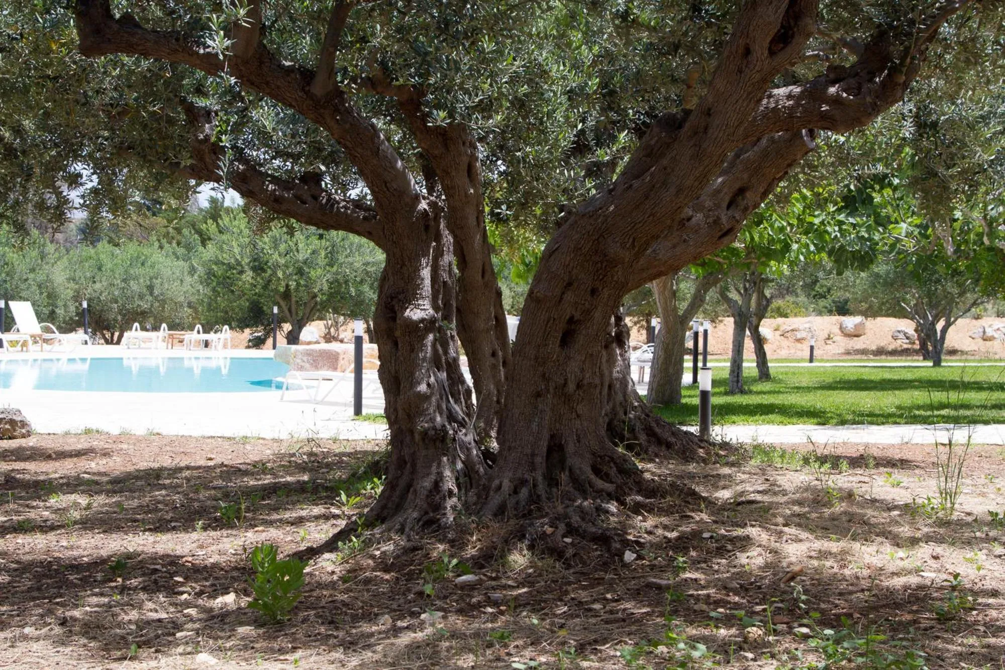 Garden in Casale la Macina Residence Scopello
