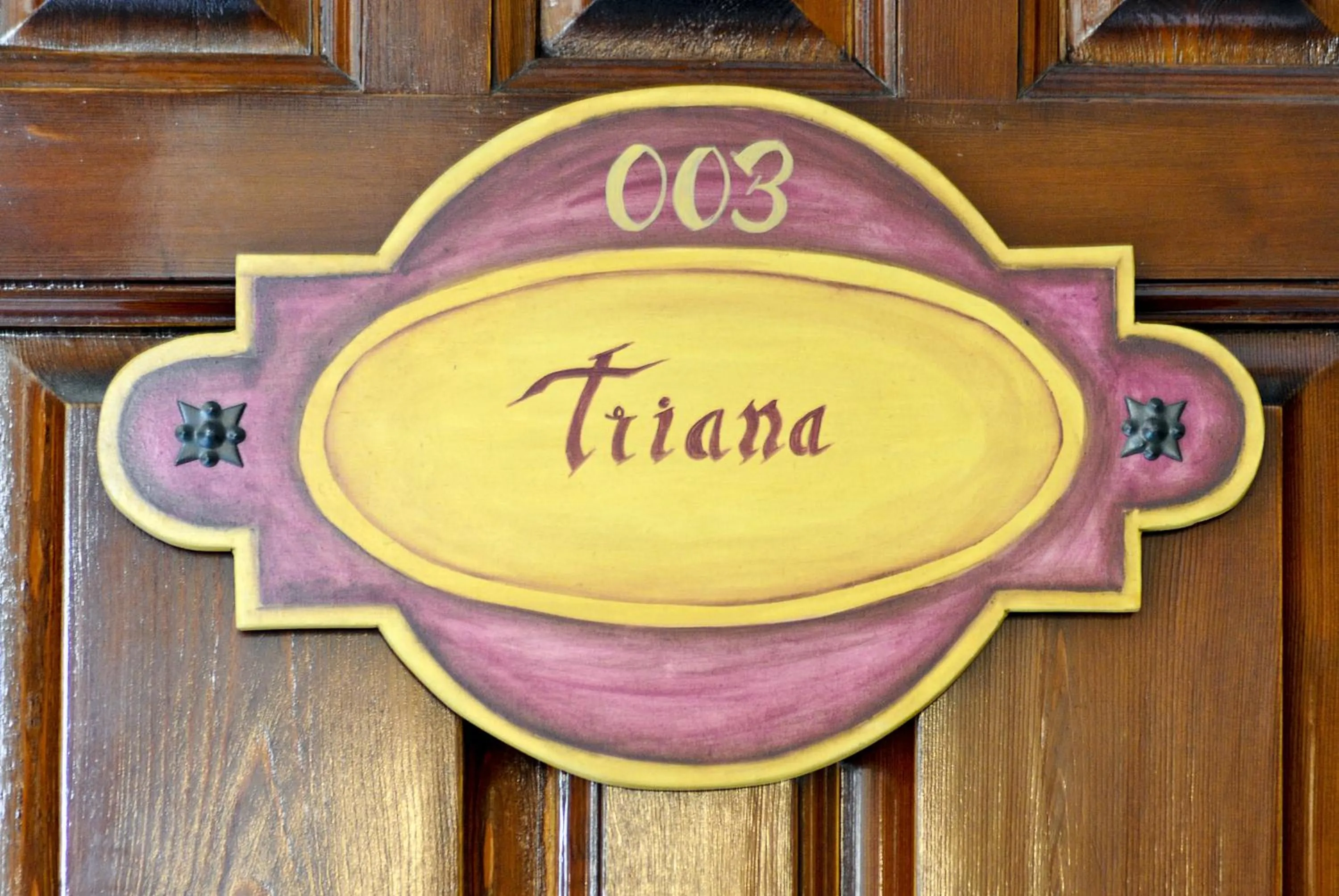 Decorative detail in Casa Palacio Don Pedro