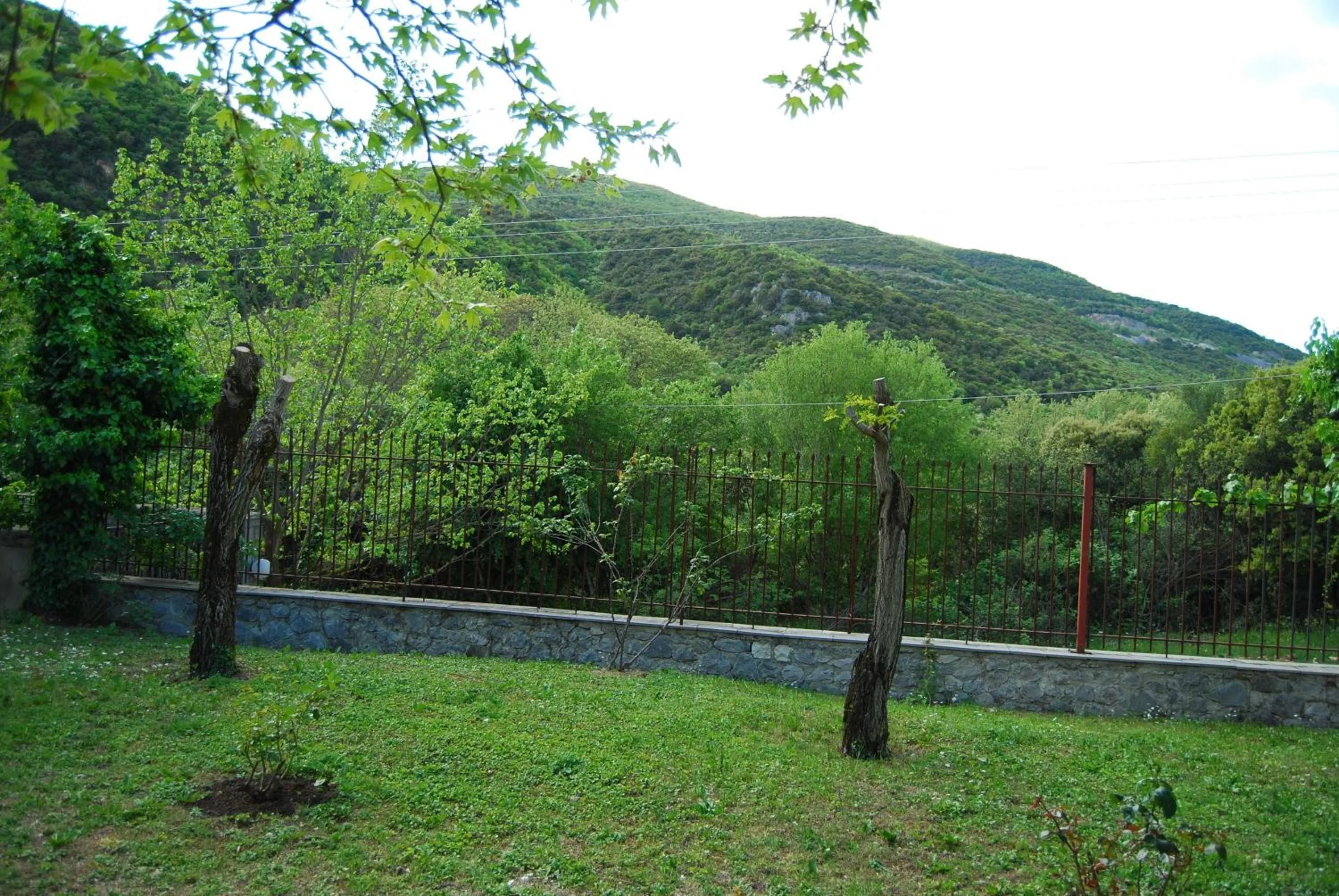 Garden in Hotel Faraggi