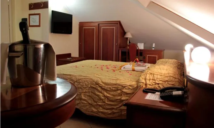 Photo of the whole room in Lion's Hotel