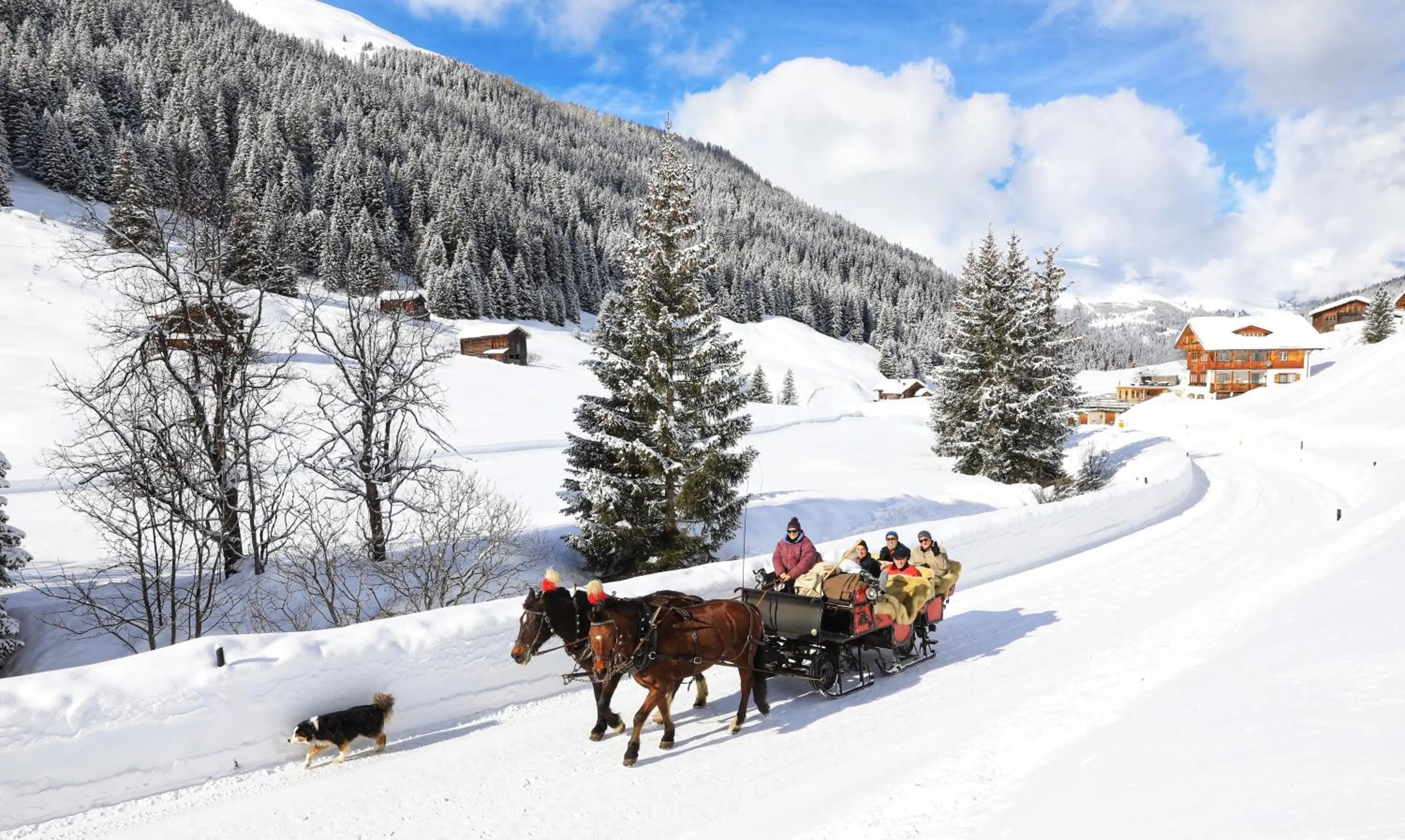 Activities in B&B Stiffler-Huus
