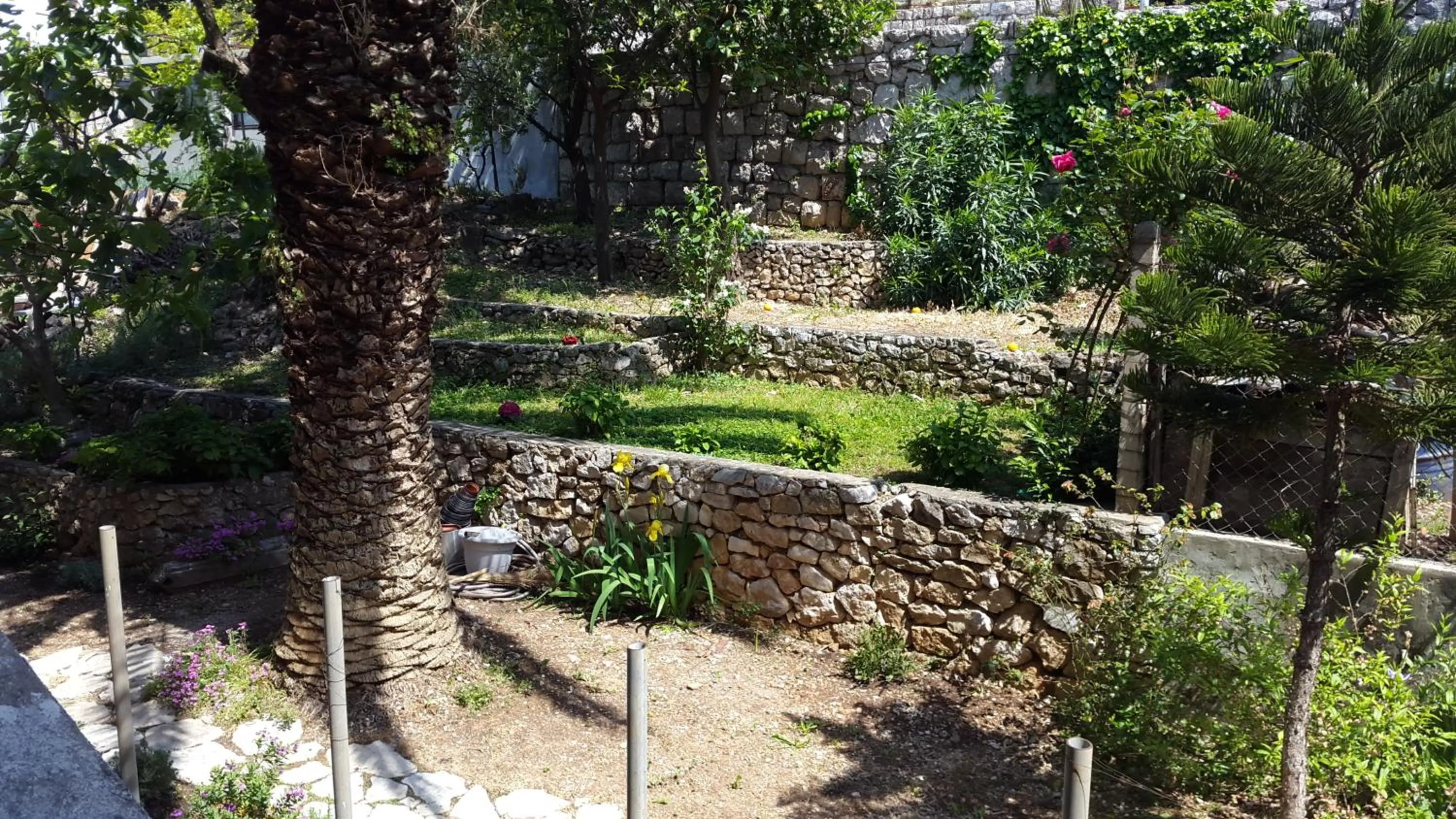 Garden in Apartment Karmen