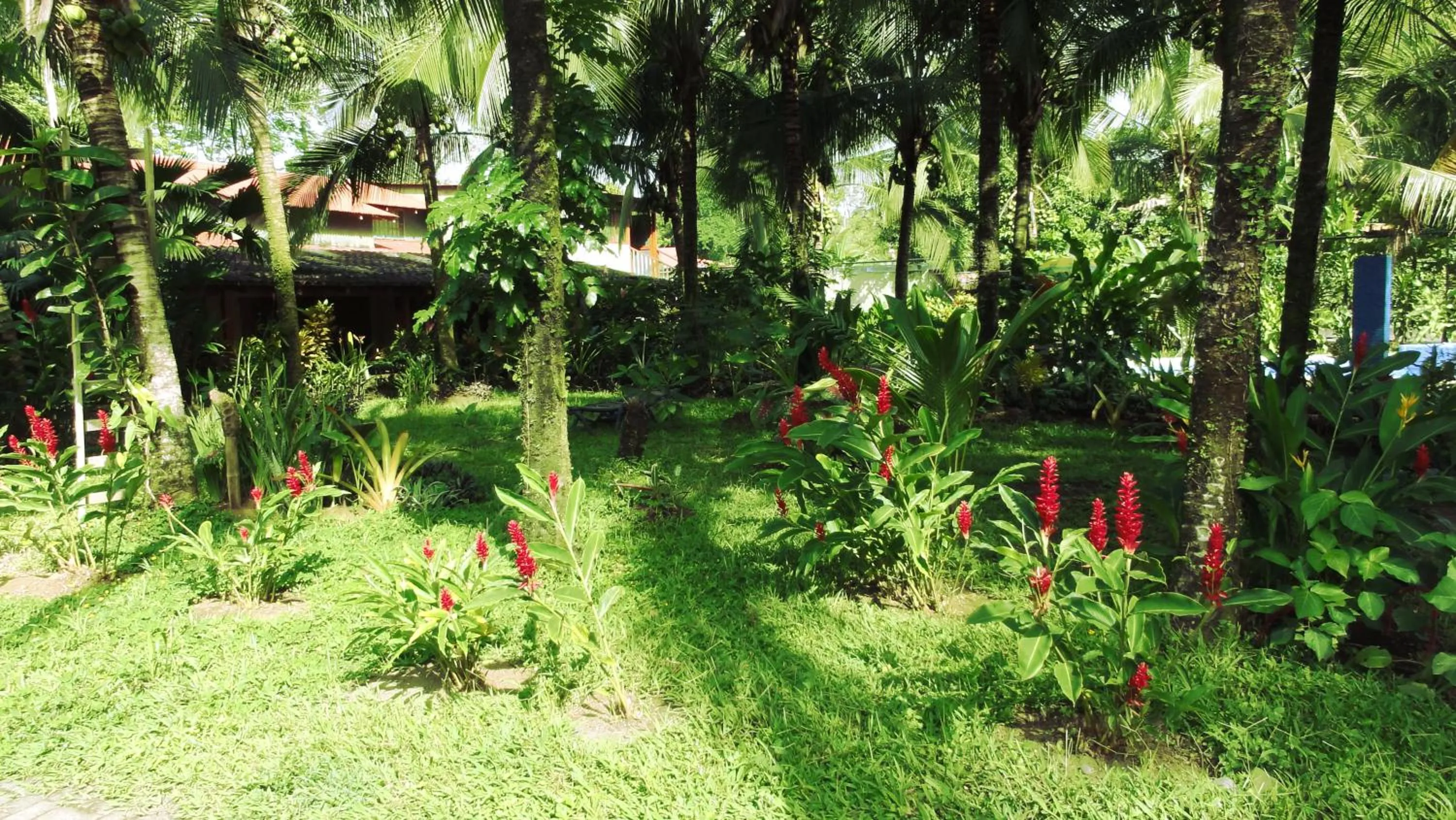 Garden in Casitas Joanna