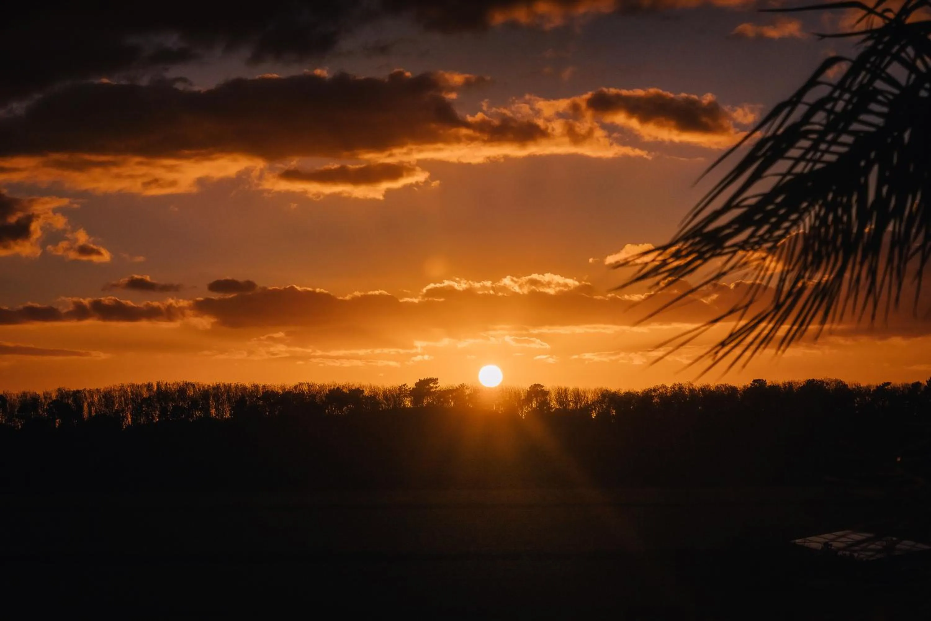 Sunset in AlmaLusa Comporta