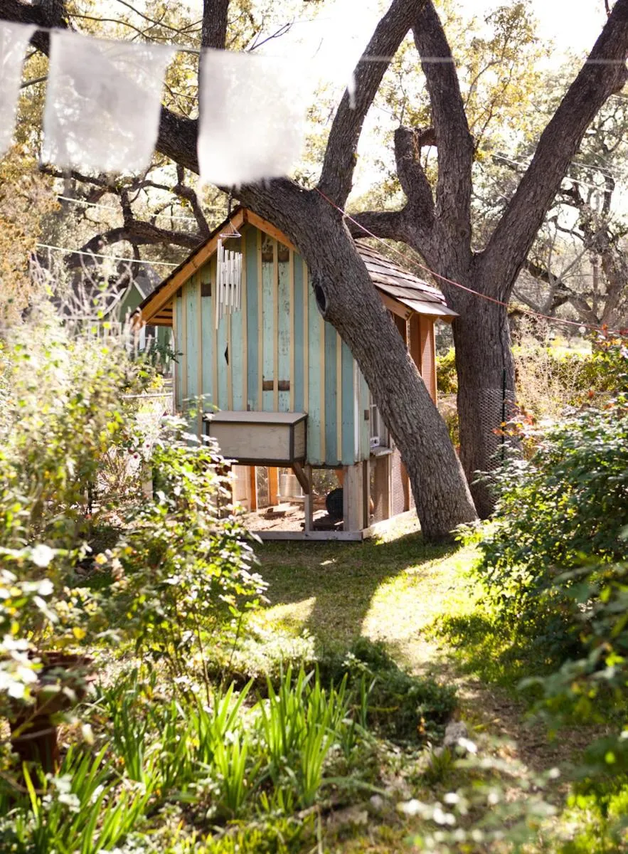 Animals in Park Lane Guest House