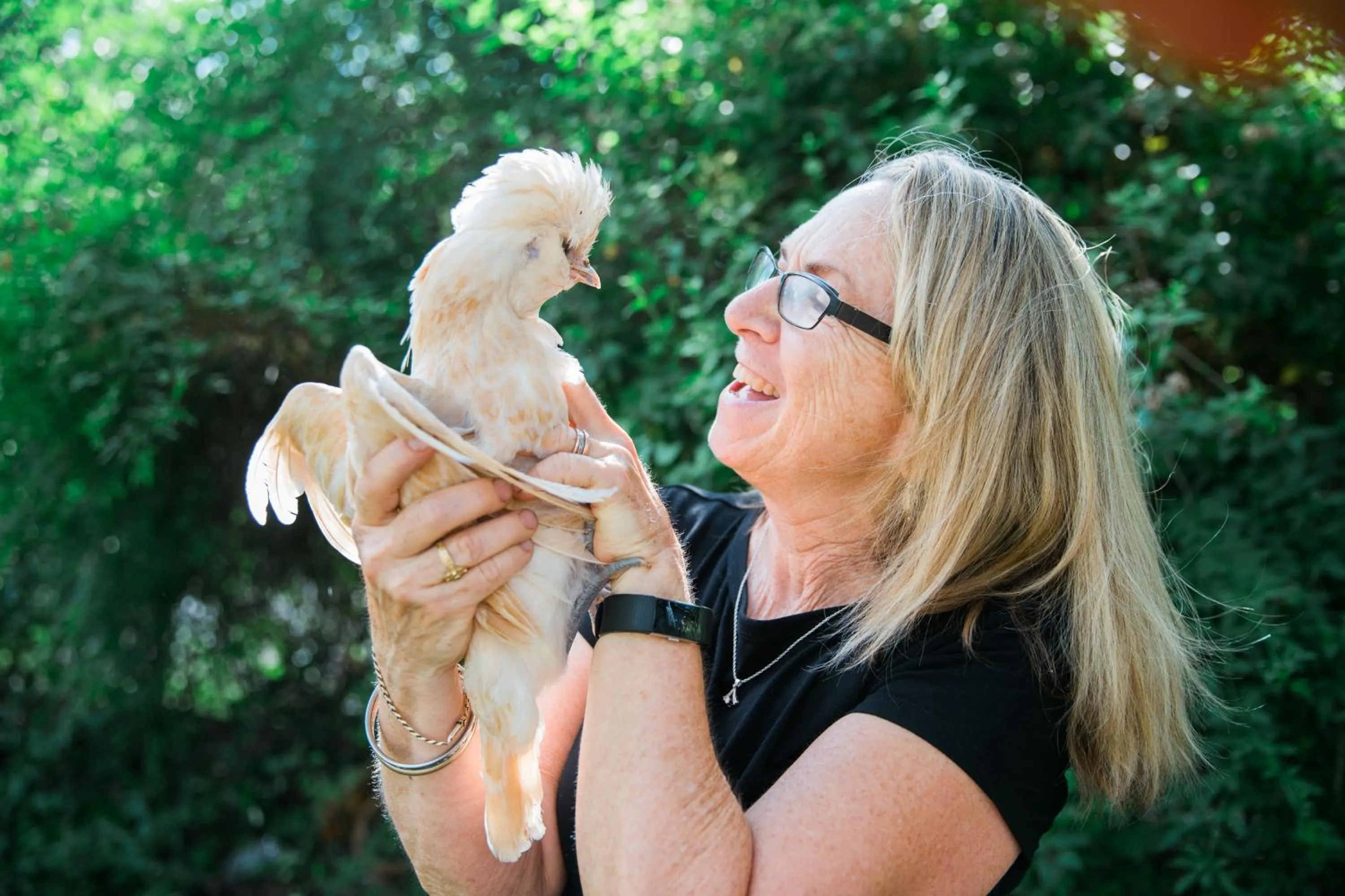 Animals in Park Lane Guest House