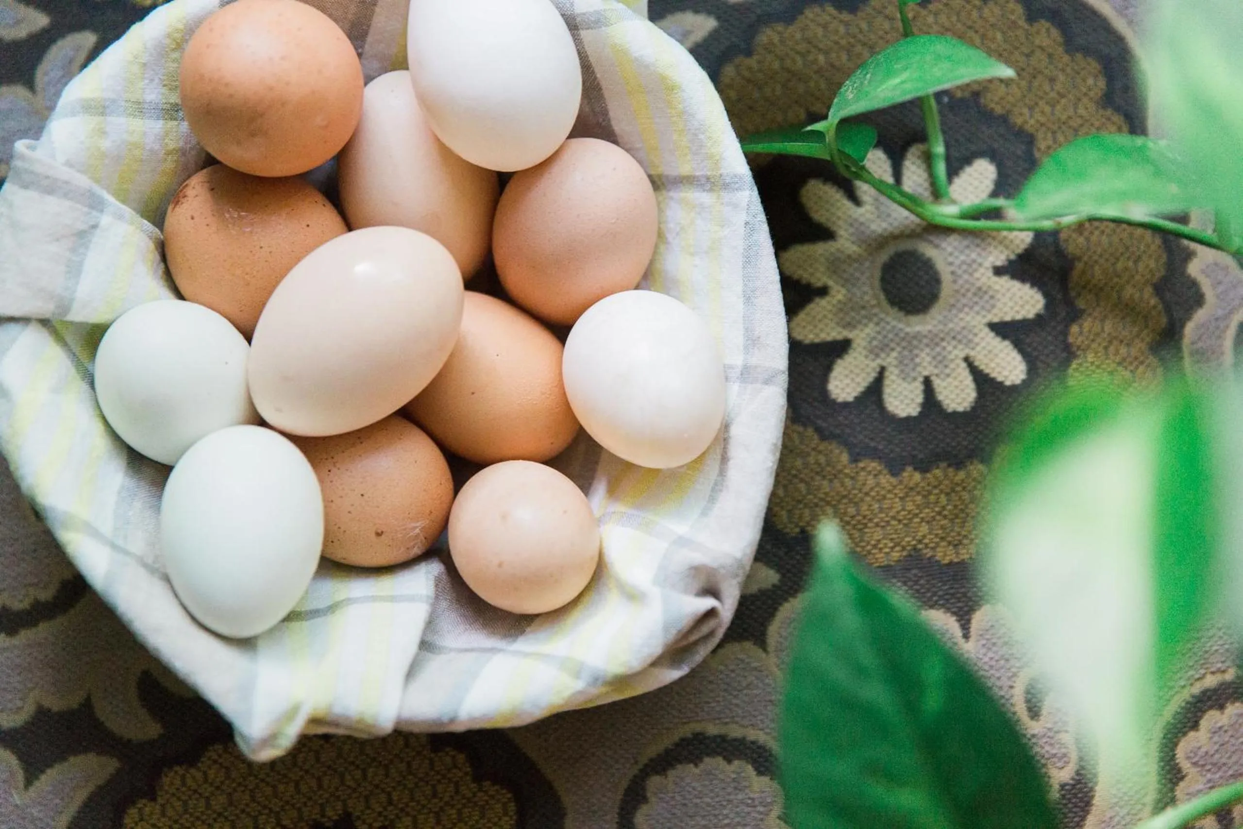 Area and facilities in Park Lane Guest House