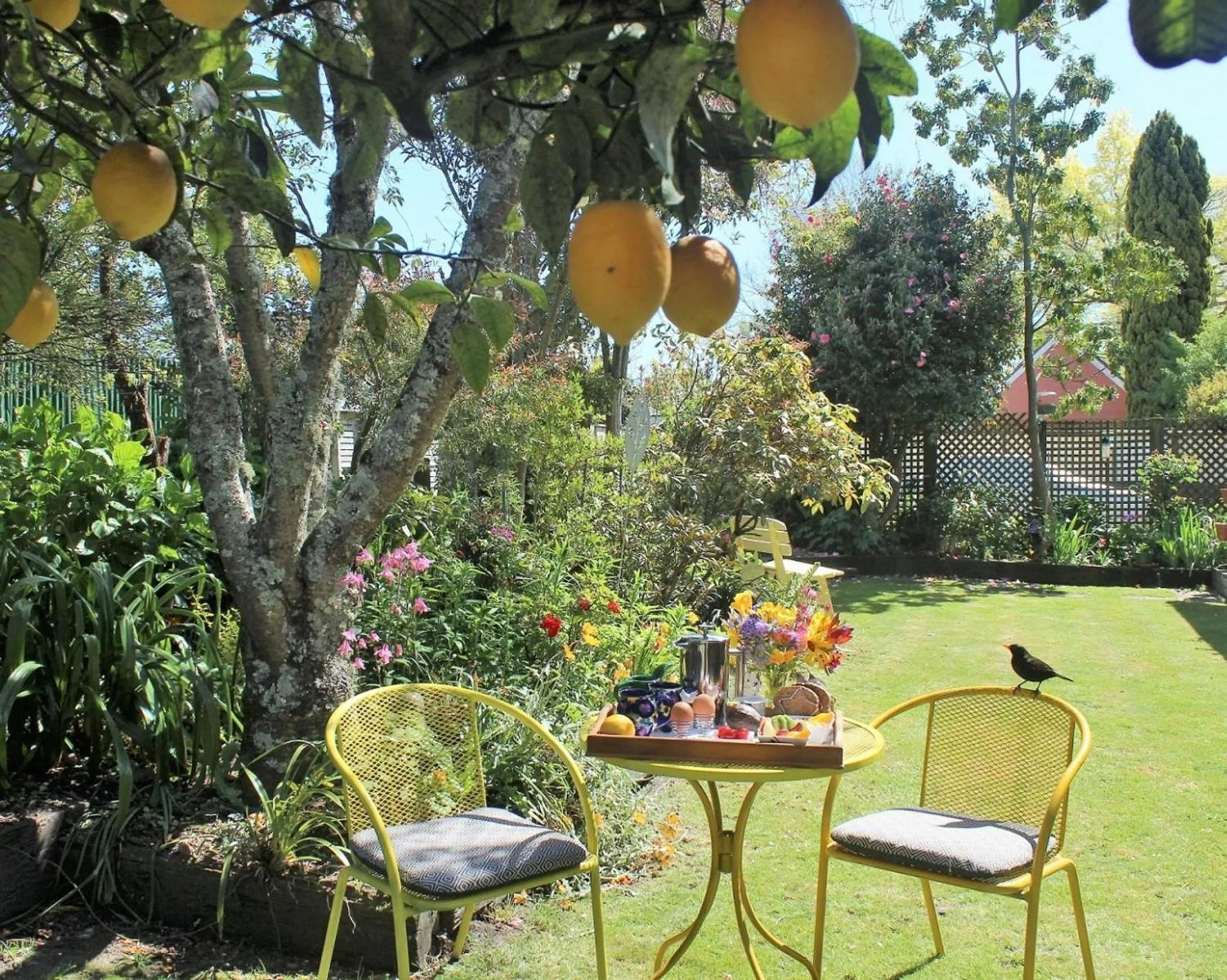 Garden in Annick House Bed and Breakfast