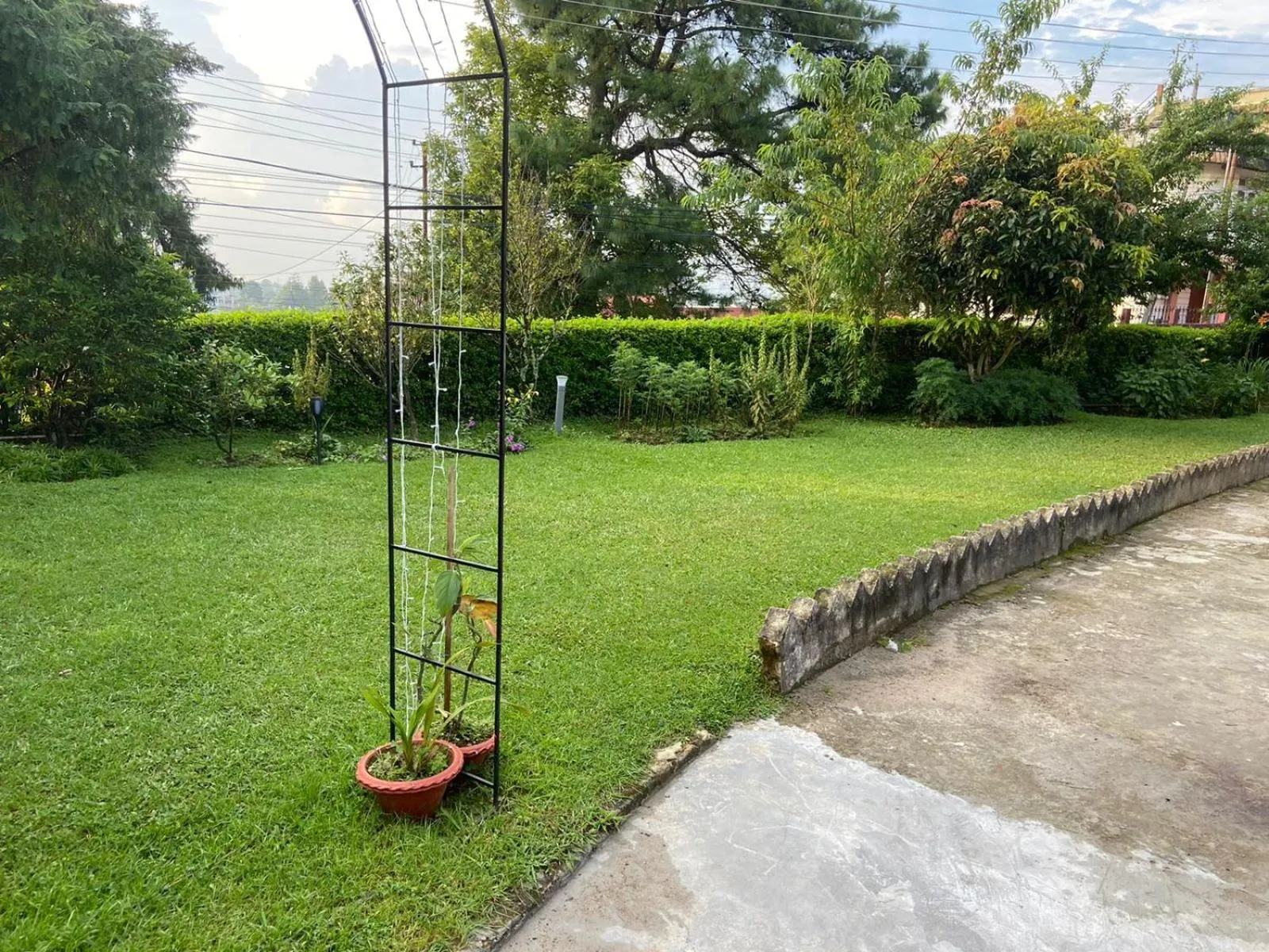 Garden in Montevideo Boutique Homestay