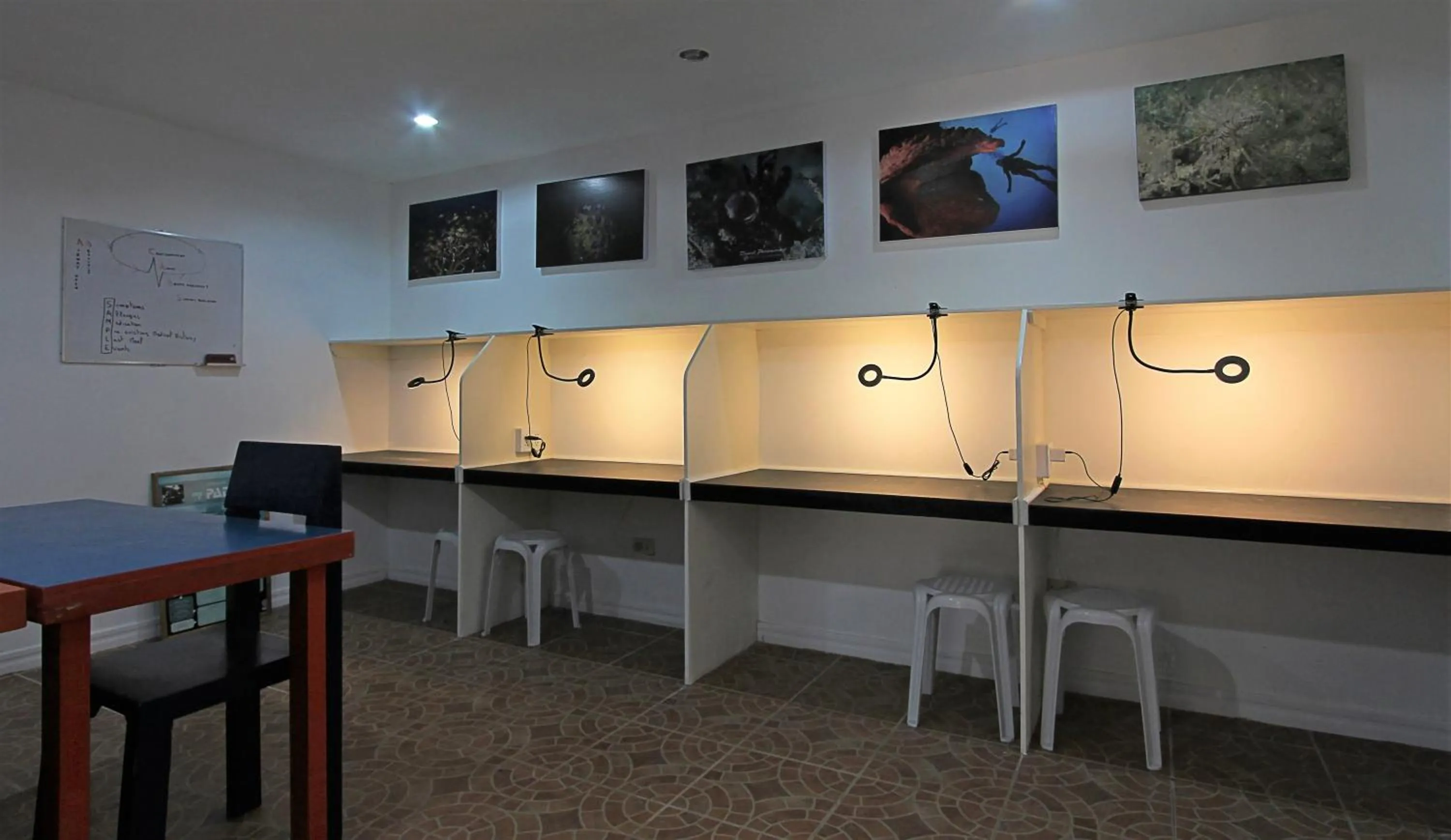 Activities in Thalatta Resort