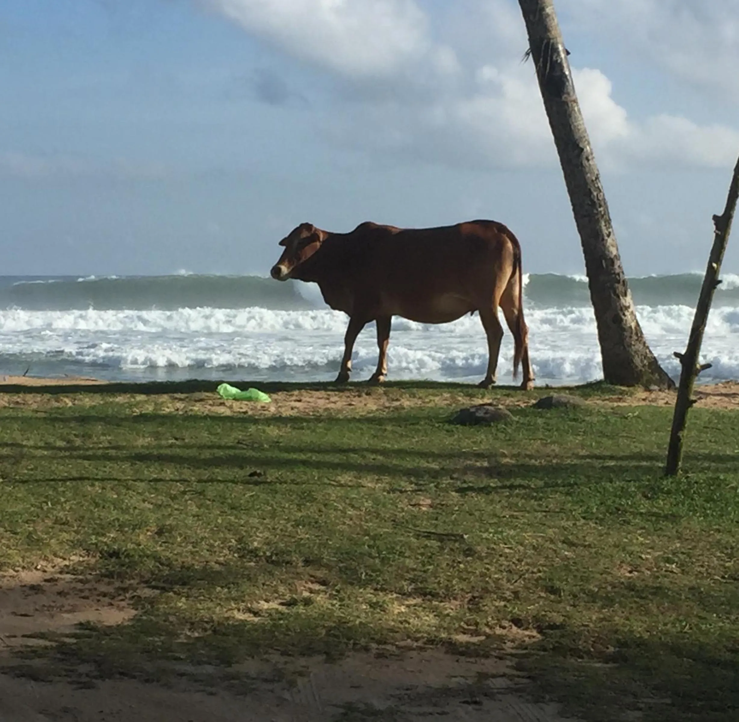 Sundance Surf Coconut Point