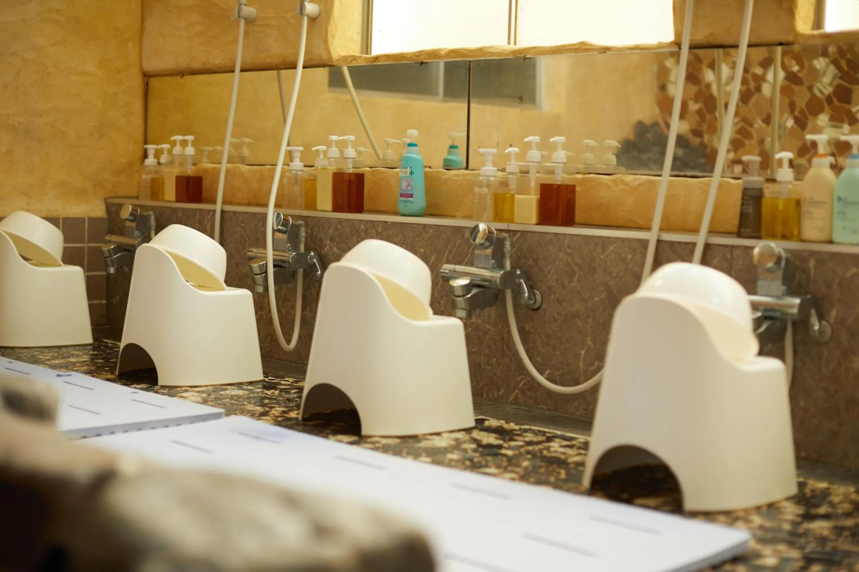 Bathroom in Fuyo Sankyo Enka