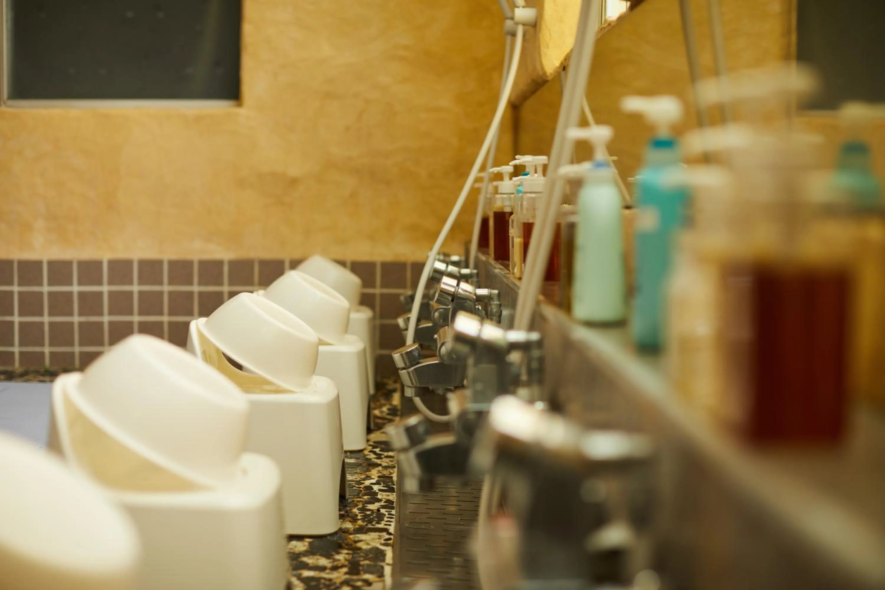 Bathroom in Fuyo Sankyo Enka