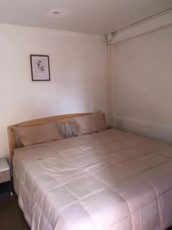 Nearthepark boutique house1