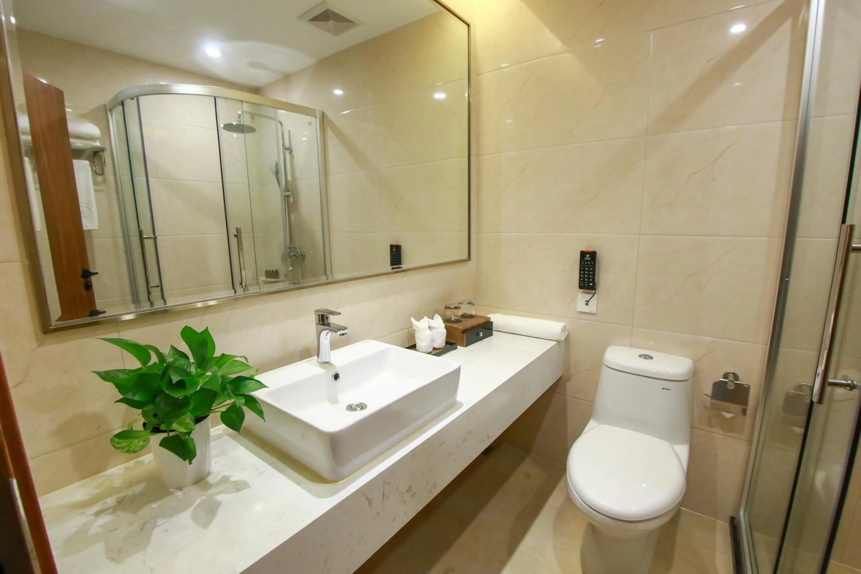 White Swan Guest House