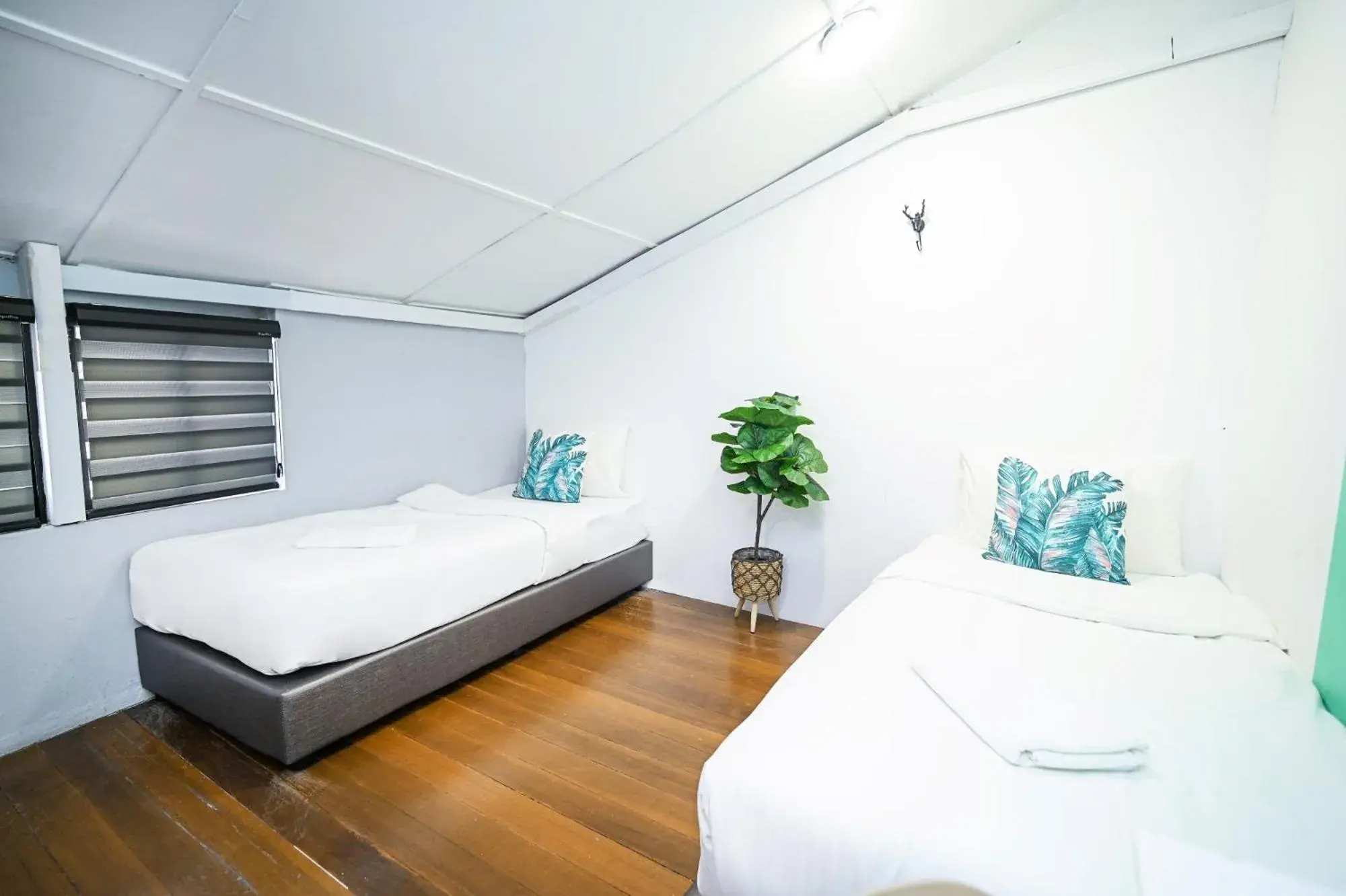 Bed in Swing & Pillows @ Beach Street Bed in Swing & Pillows @ Beach Street