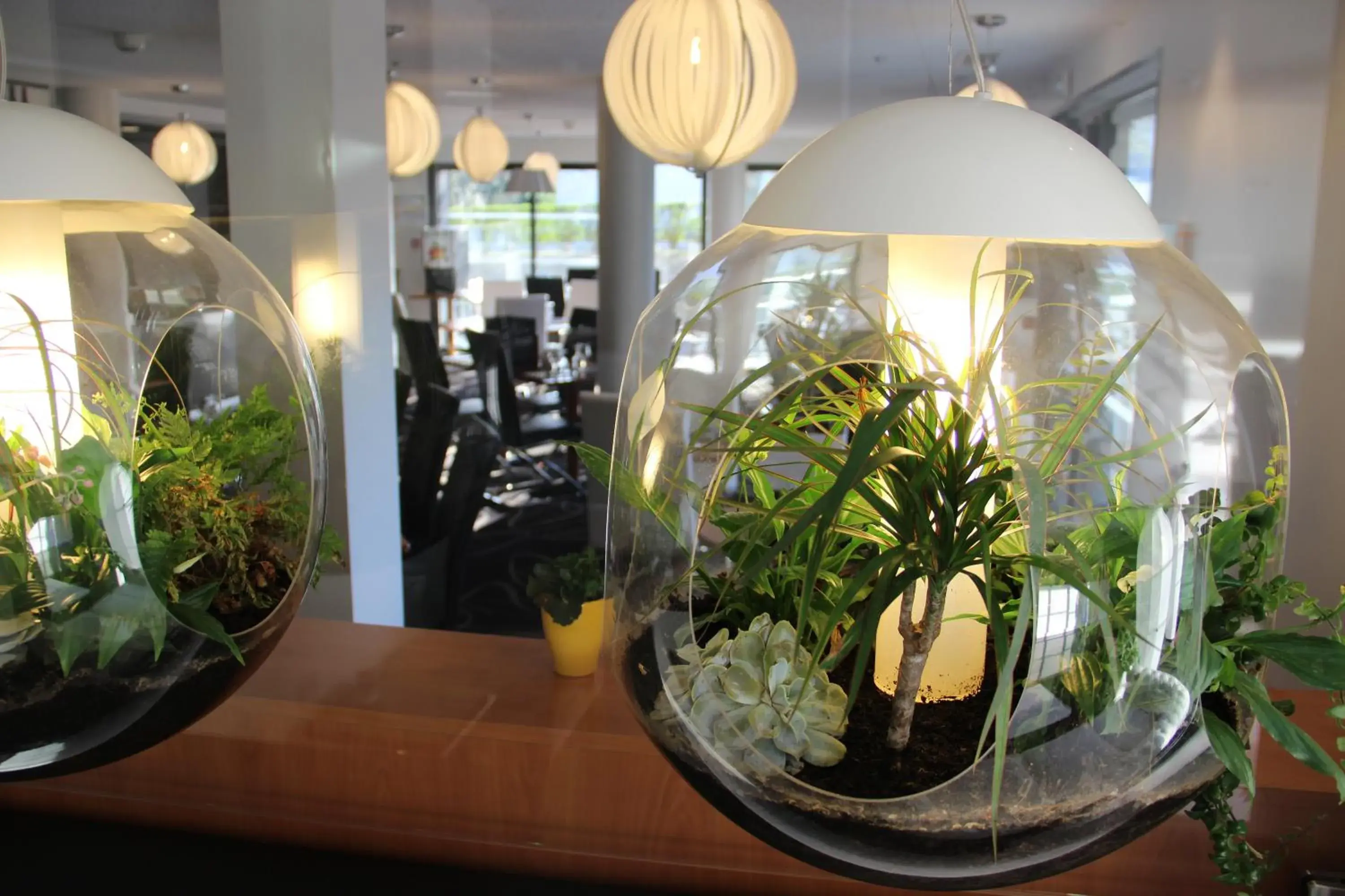 Restaurant/places to eat in Kyriad Saint Quentin en Yvelines - Montigny Restaurant/places to eat in Kyriad Saint Quentin en Yvelines - Montigny