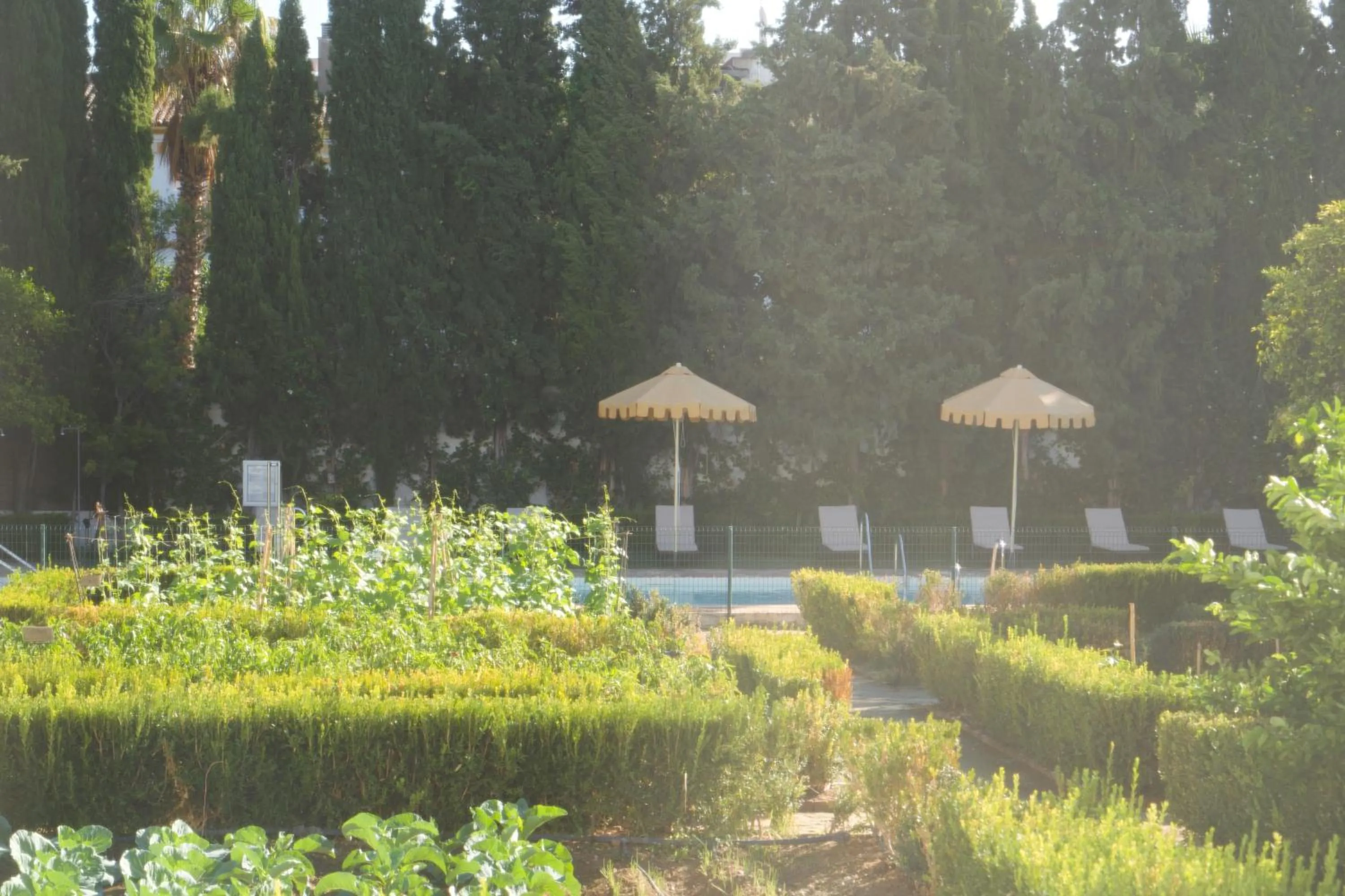 Garden view in Monasterio de San Francisco